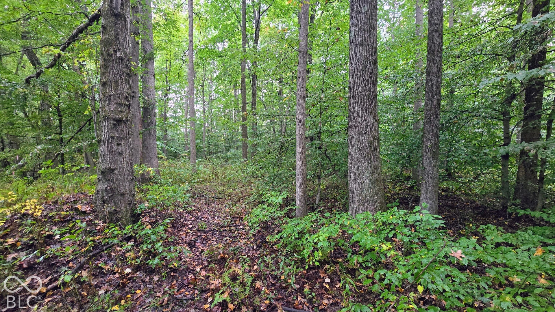 3250 Lemon Road, Madison, IN 47250