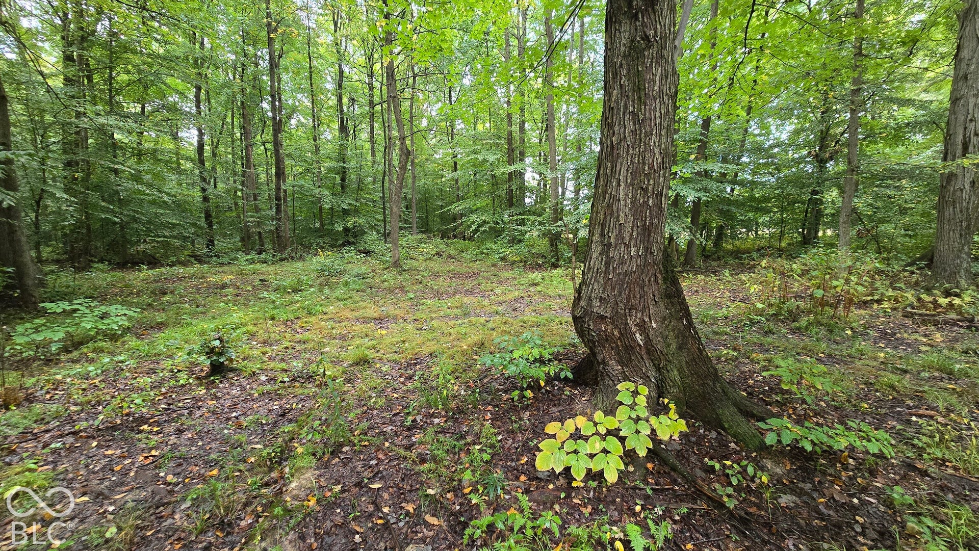 3250 Lemon Road, Madison, IN 47250