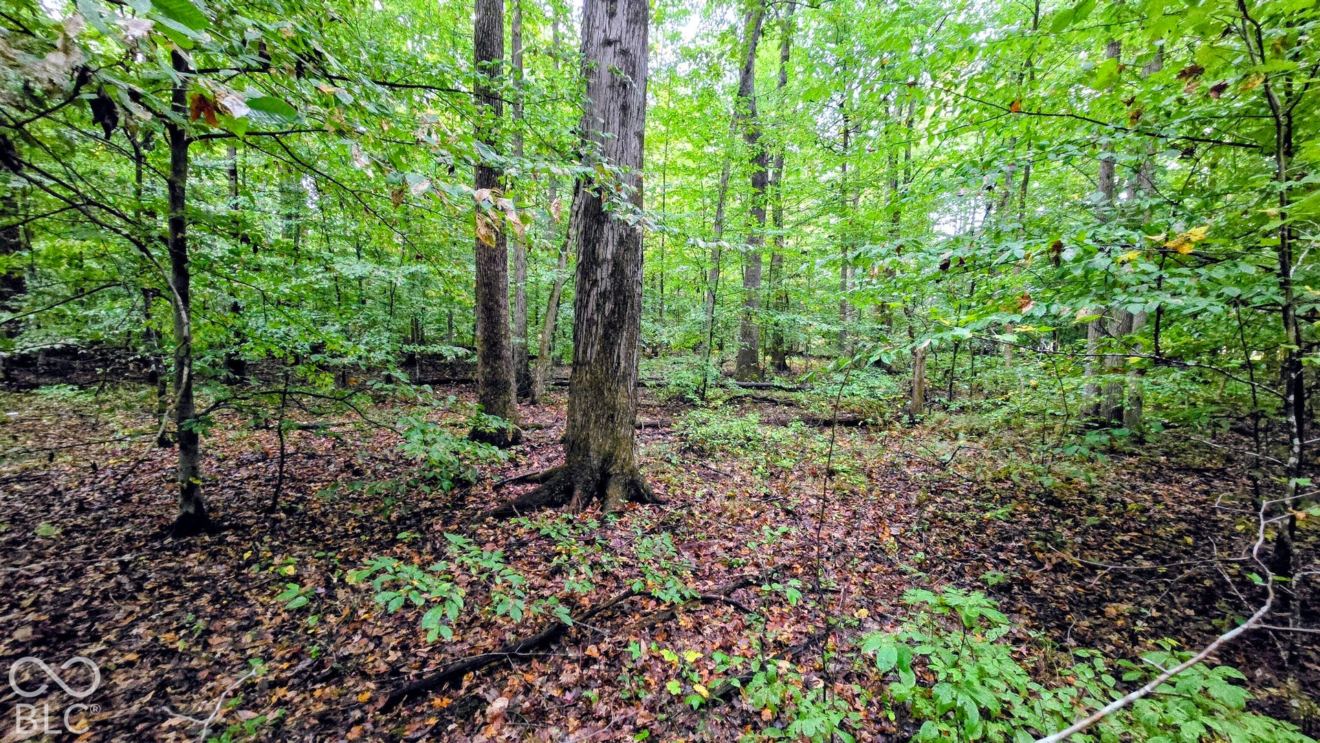 3250 Lemon Road, Madison, IN 47250