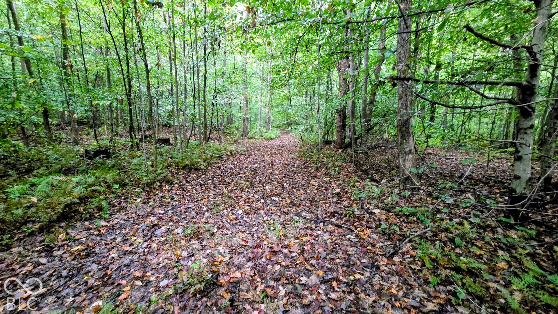 3250 Lemon Road, Madison, IN 47250