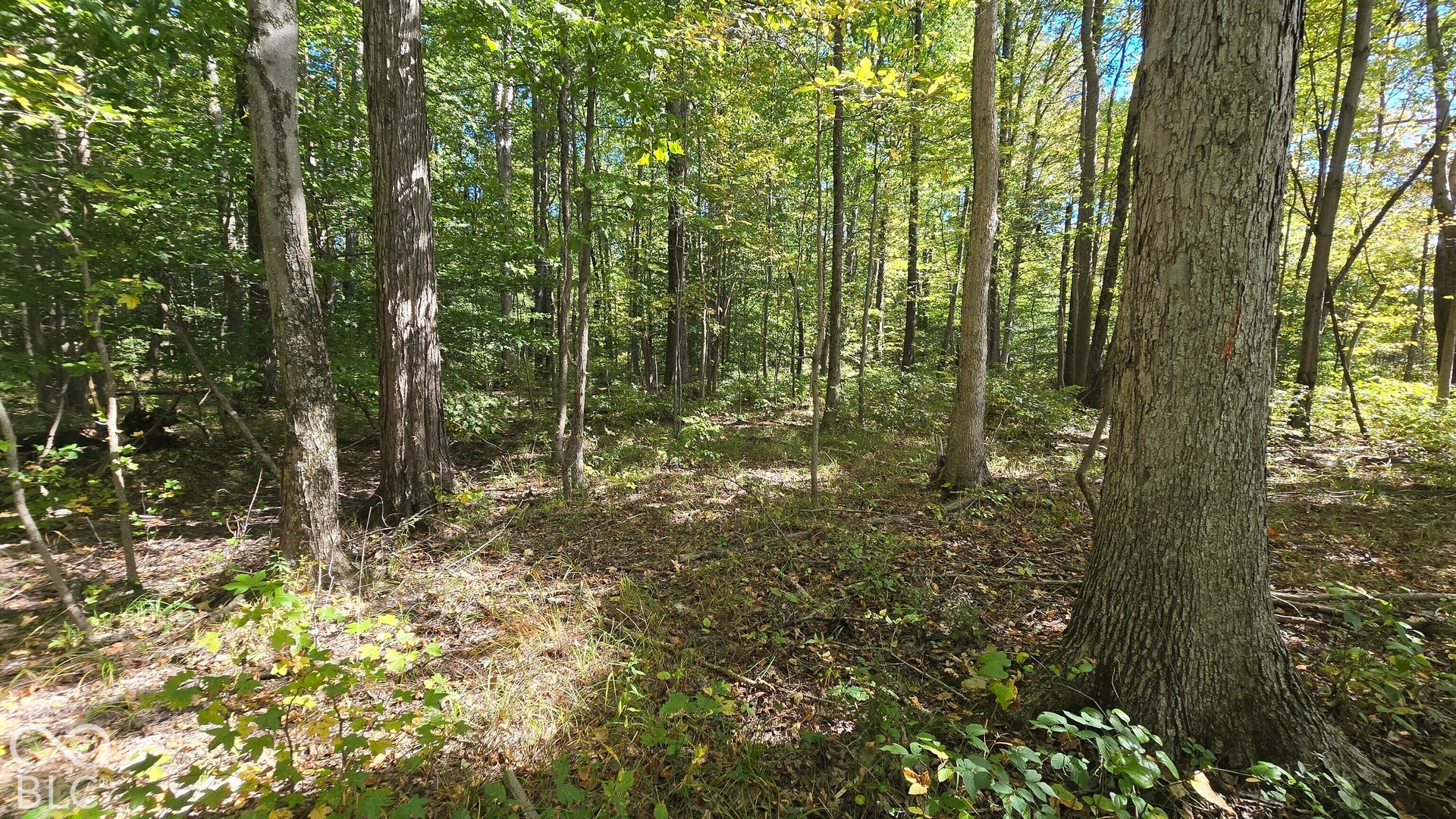 3250 Lemon Road, Madison, IN 47250