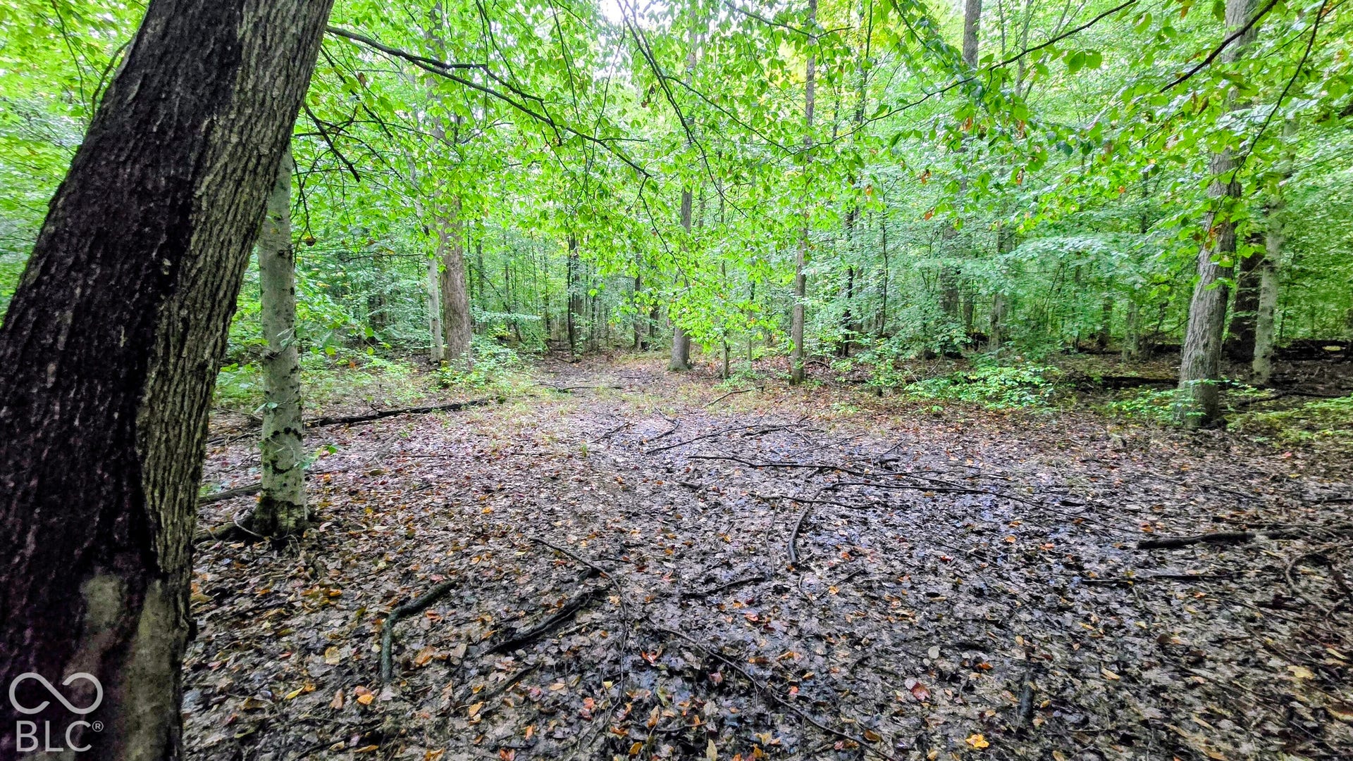 3250 Lemon Road, Madison, IN 47250