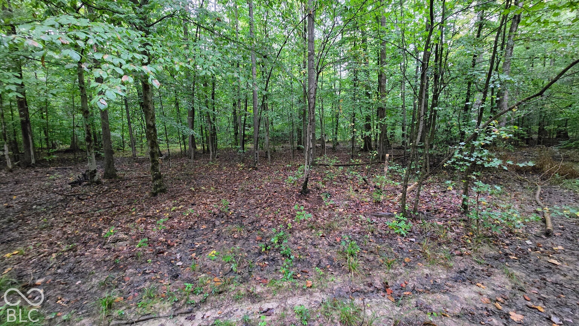 3250 Lemon Road, Madison, IN 47250