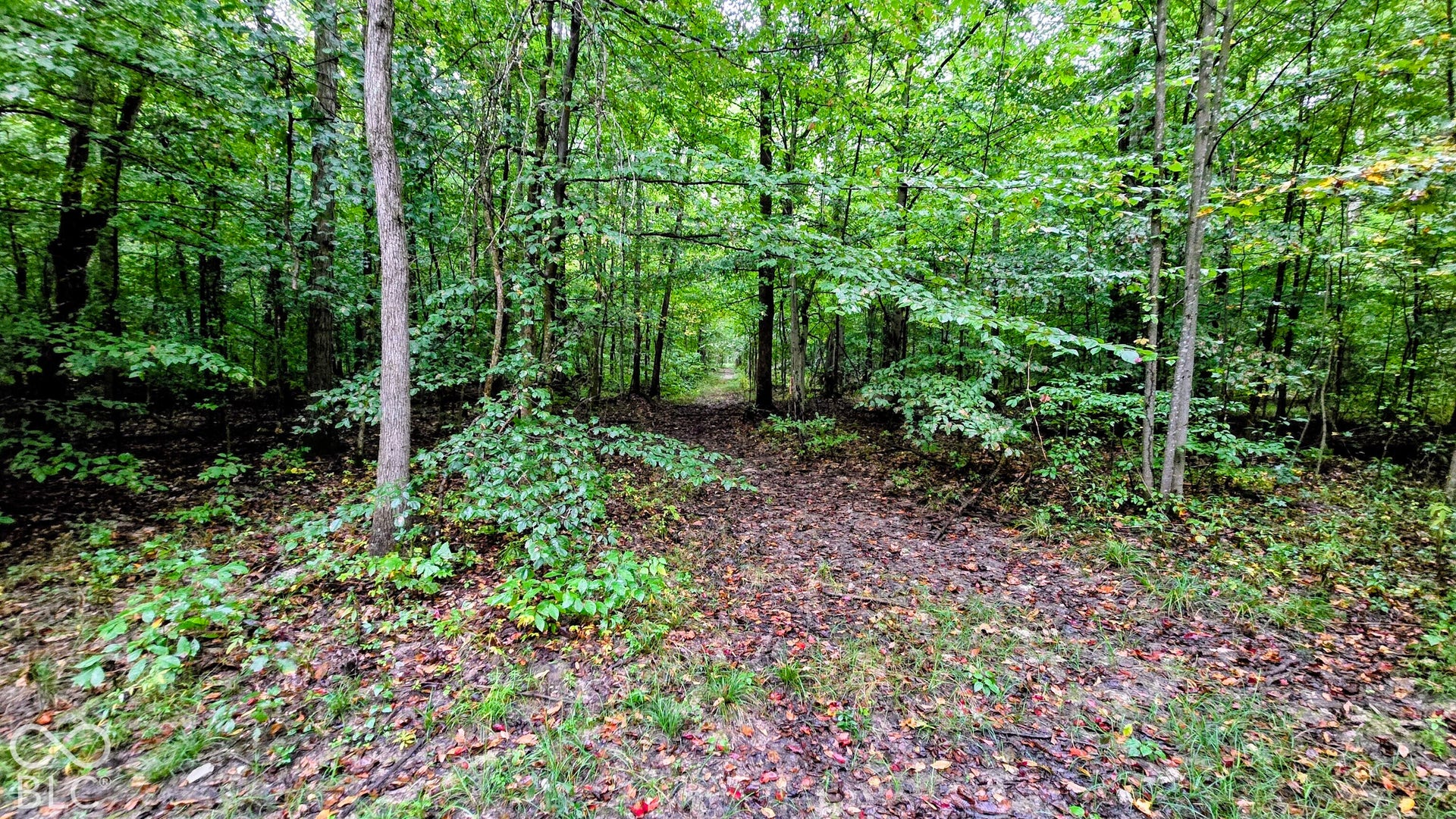 3250 Lemon Road, Madison, IN 47250