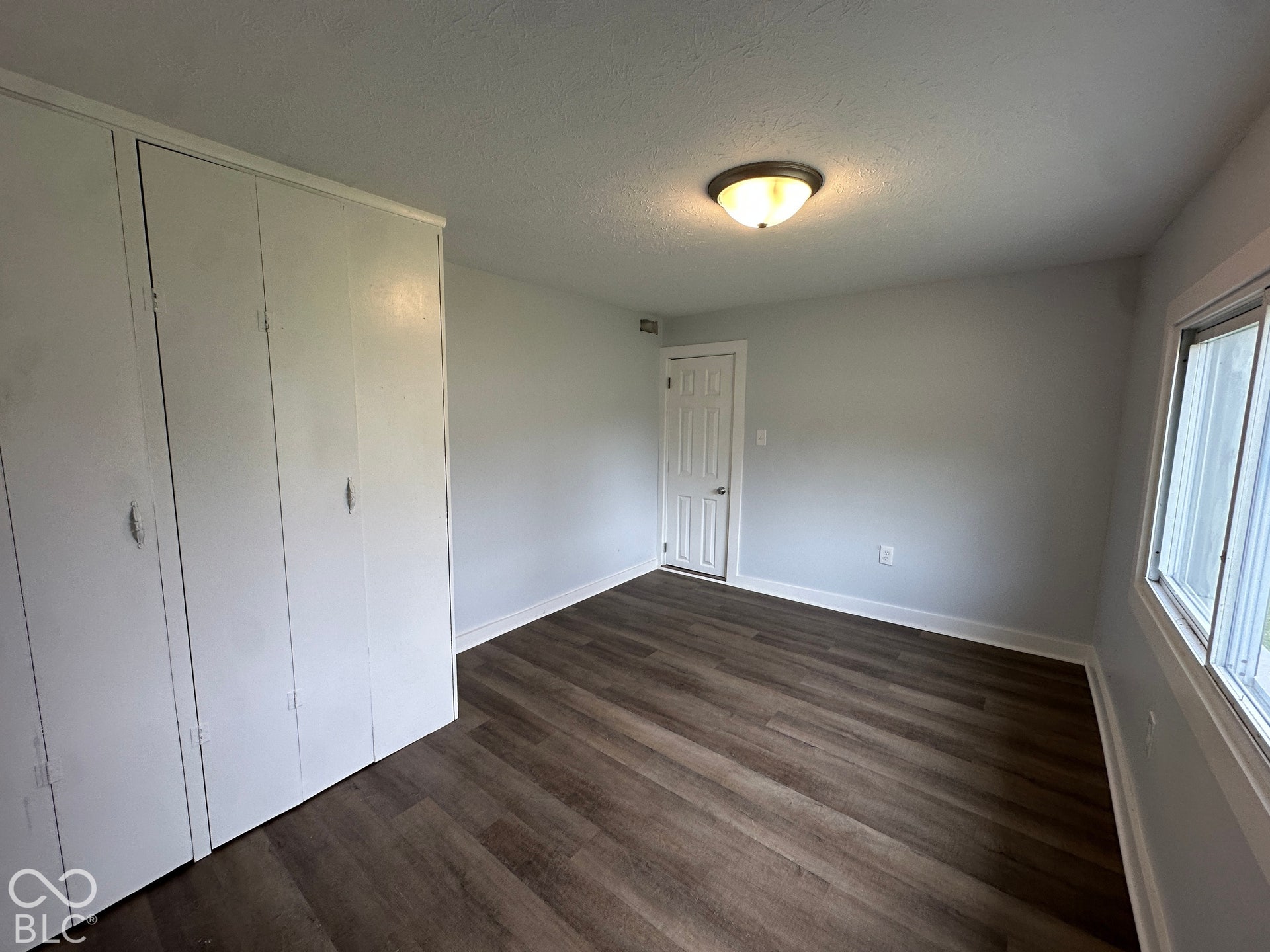Wood-finish flooring, built-in white cabinetry, white painted walls, white trim, and a surface-mounted ceiling light fixture