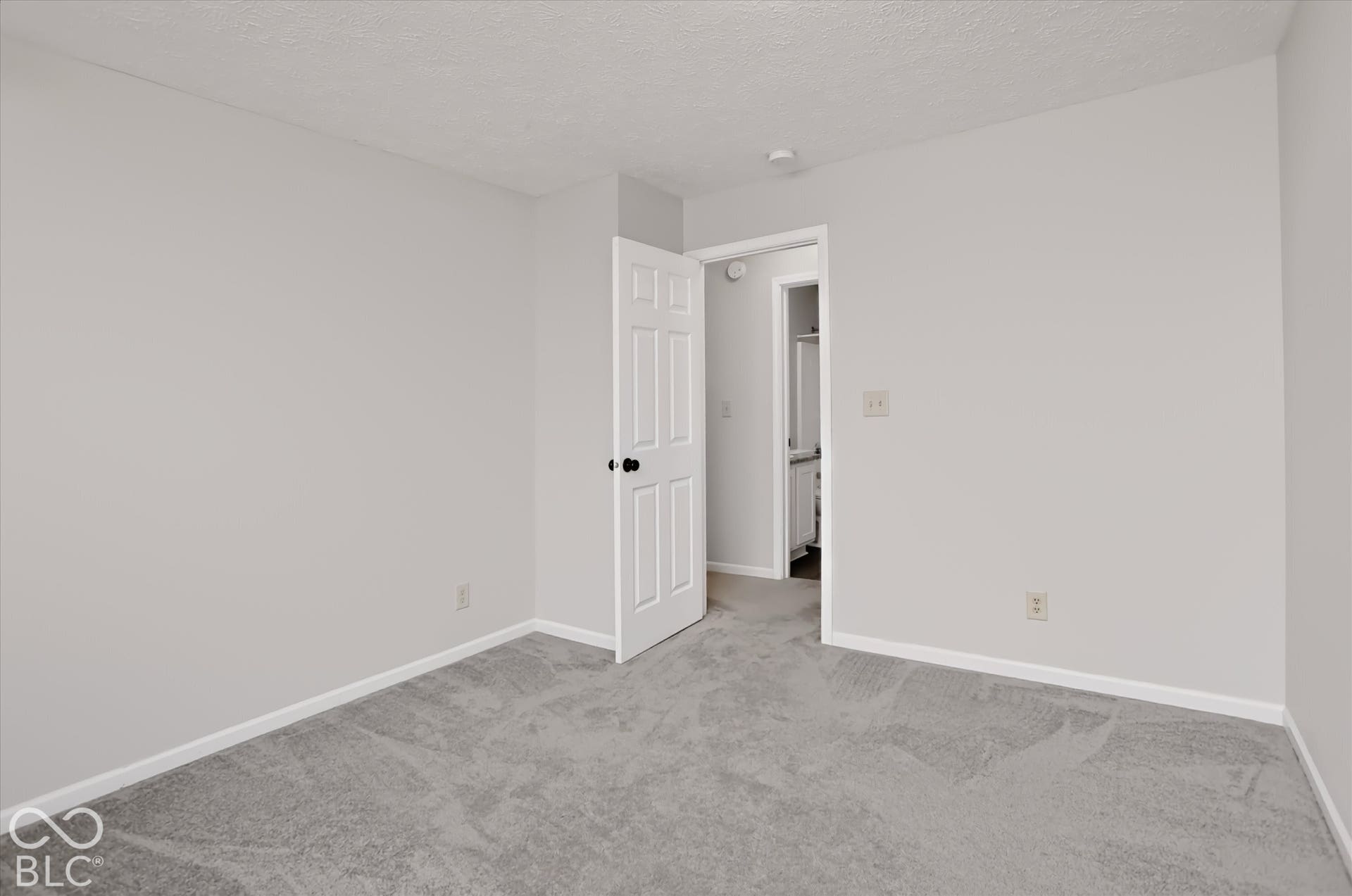 Neutral-toned interior space featuring light grey wall paint, plush carpeting, a six-panel interior door with matte black hardware, and an overhead fire suppression system