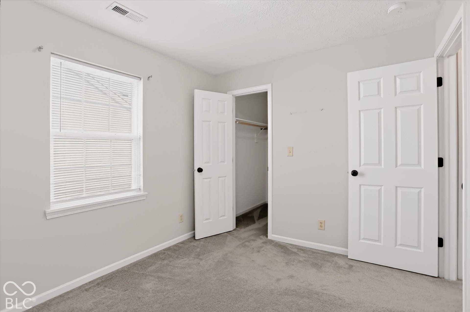 Neutral-toned interior space featuring neutral carpeting, a window with horizontal blinds, a walk-in closet, and six-panel interior doors
