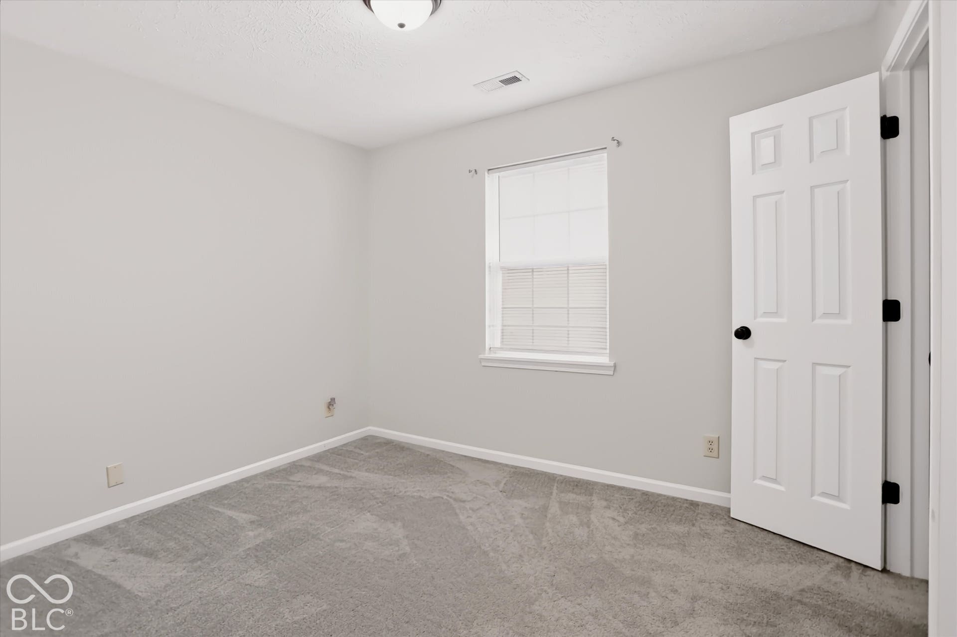 Neutral-toned interior space featuring wall-to-wall carpeting, a single-hung window with blinds, a six-panel door with matte black hardware, and a flush-mount ceiling light fixture
