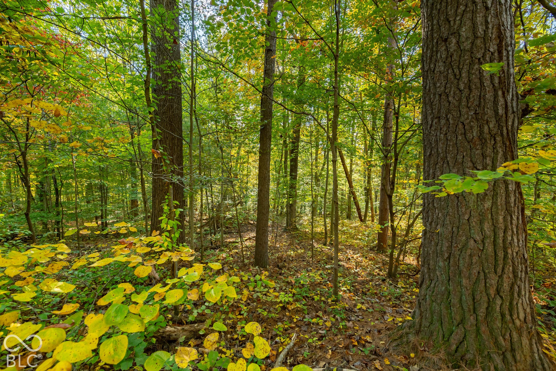 113 Hickory Knob Road, Nashville, IN 47448