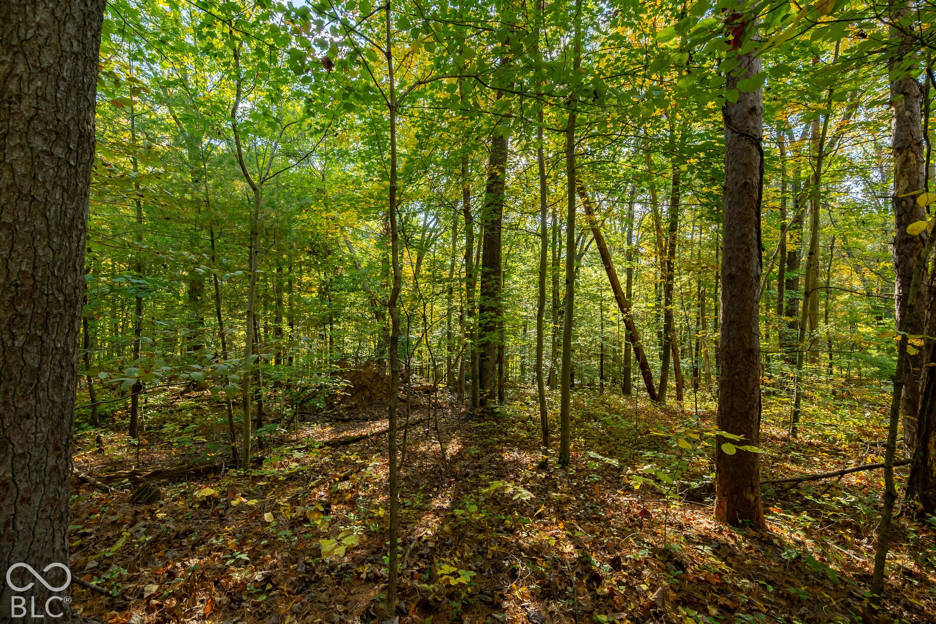 113 Hickory Knob Road, Nashville, IN 47448