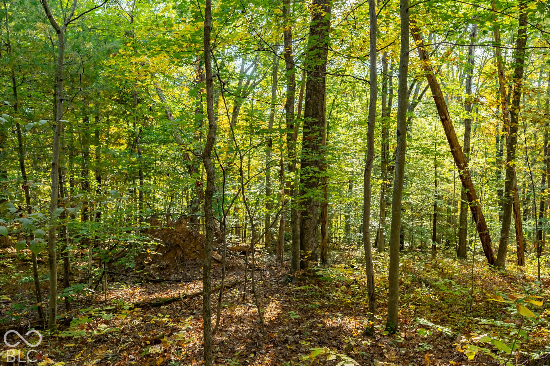 113 Hickory Knob Road, Nashville, IN 47448