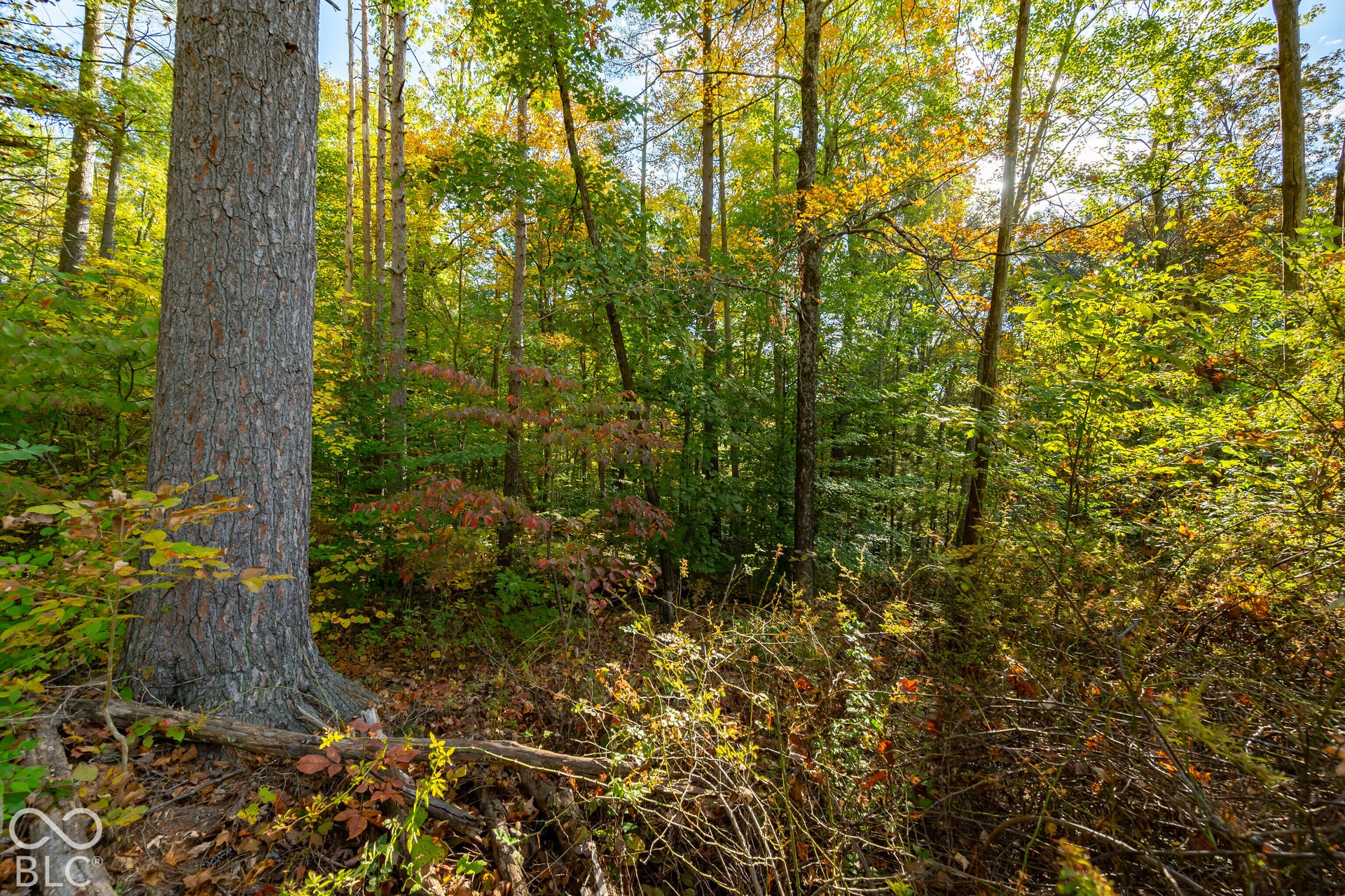 113 Hickory Knob Road, Nashville, IN 47448