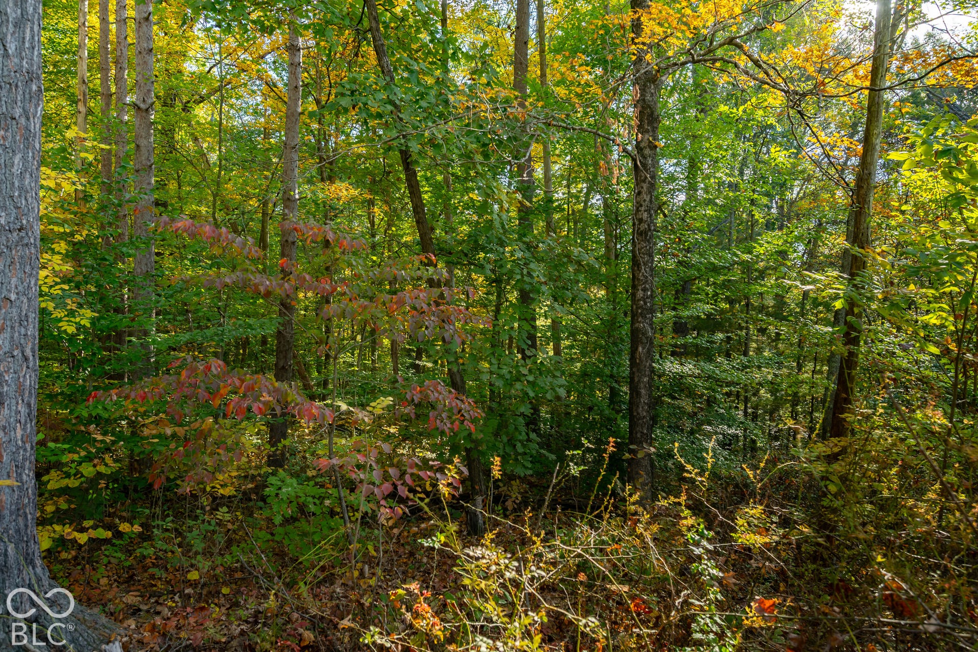 113 Hickory Knob Road, Nashville, IN 47448