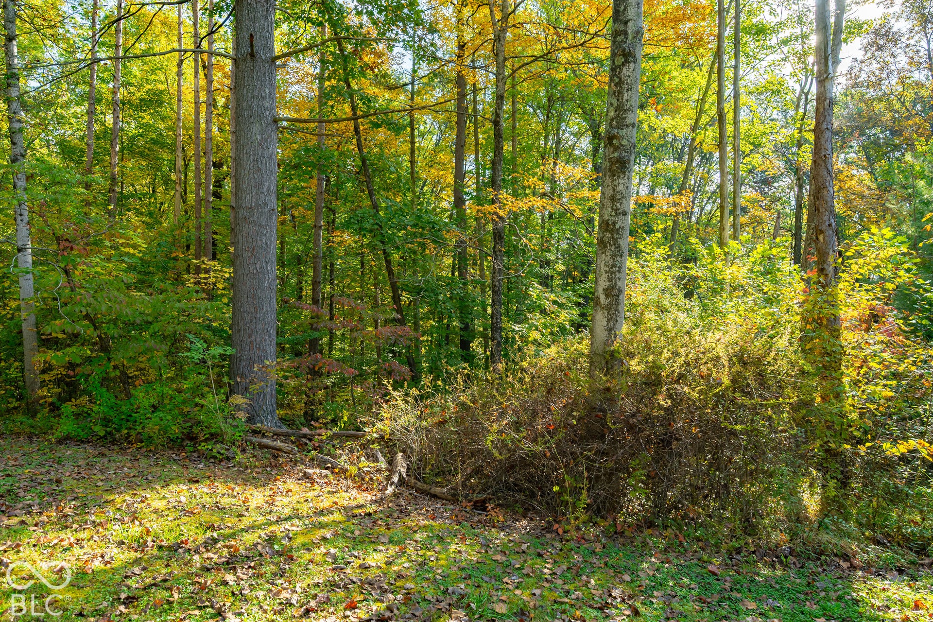 113 Hickory Knob Road, Nashville, IN 47448
