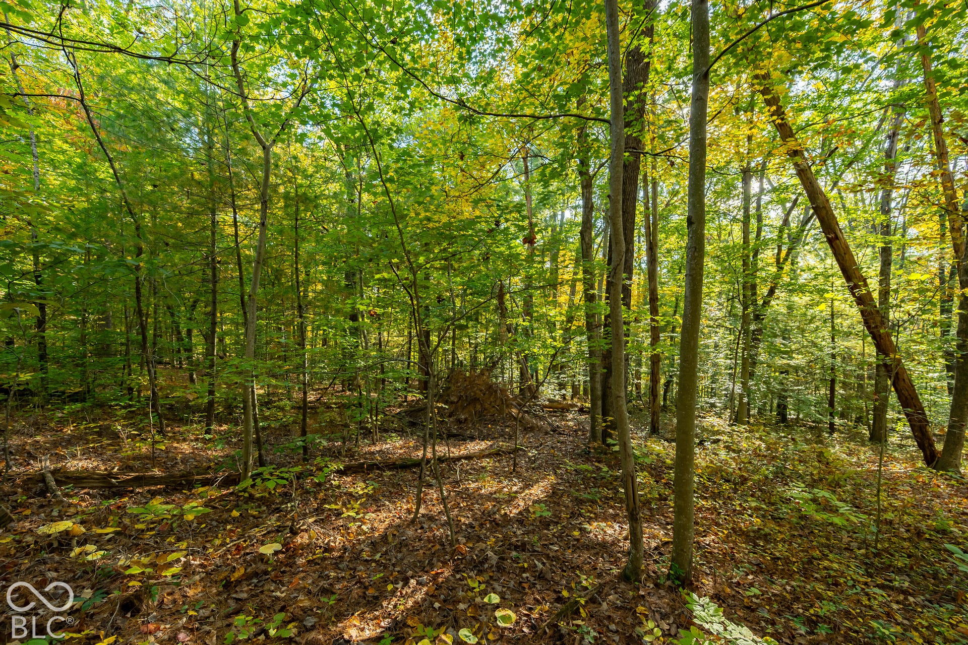 113 Hickory Knob Road, Nashville, IN 47448
