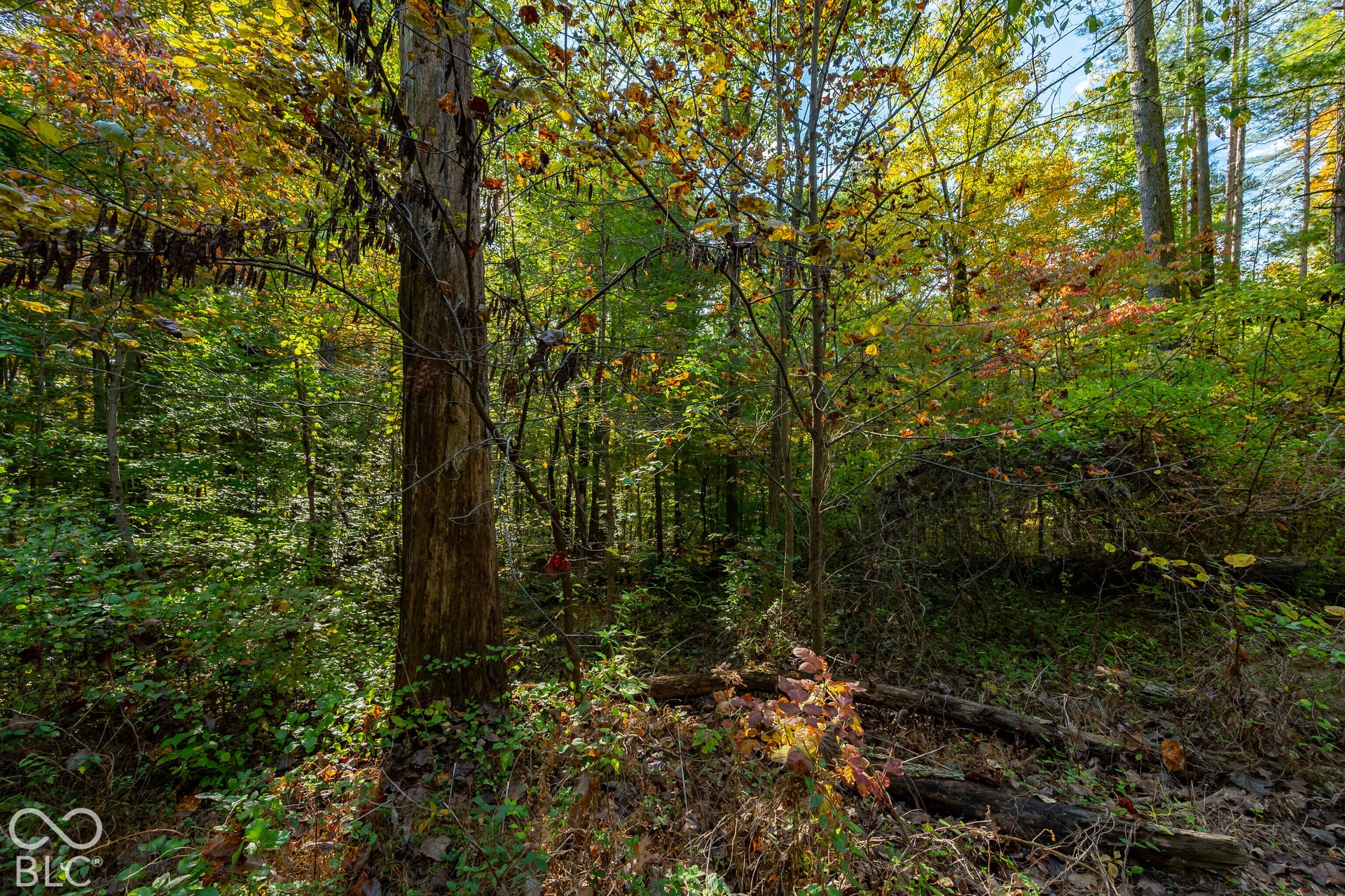 113 Hickory Knob Road, Nashville, IN 47448