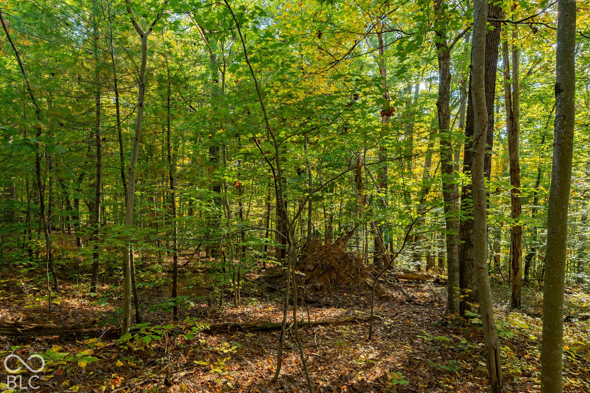 113 Hickory Knob Road, Nashville, IN 47448