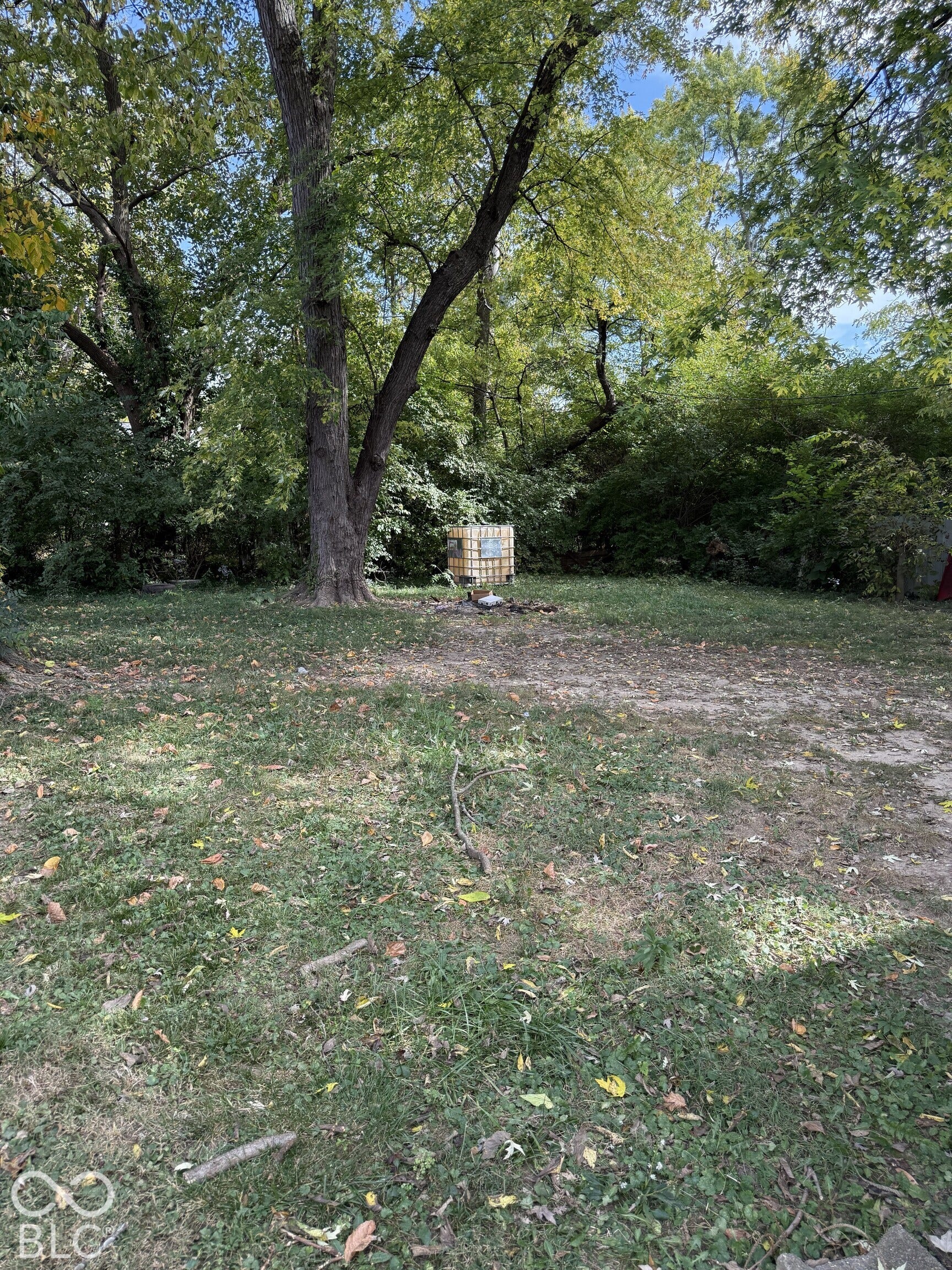3351 N Grant Avenue, Indianapolis, IN 46218 Expansive backyard featuring mature trees and established perimeter foliage