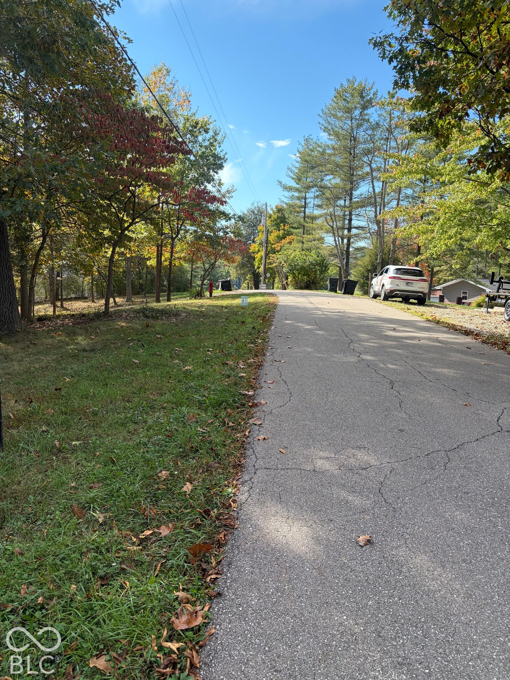 Asphalt drive featuring grass verges and established mature trees