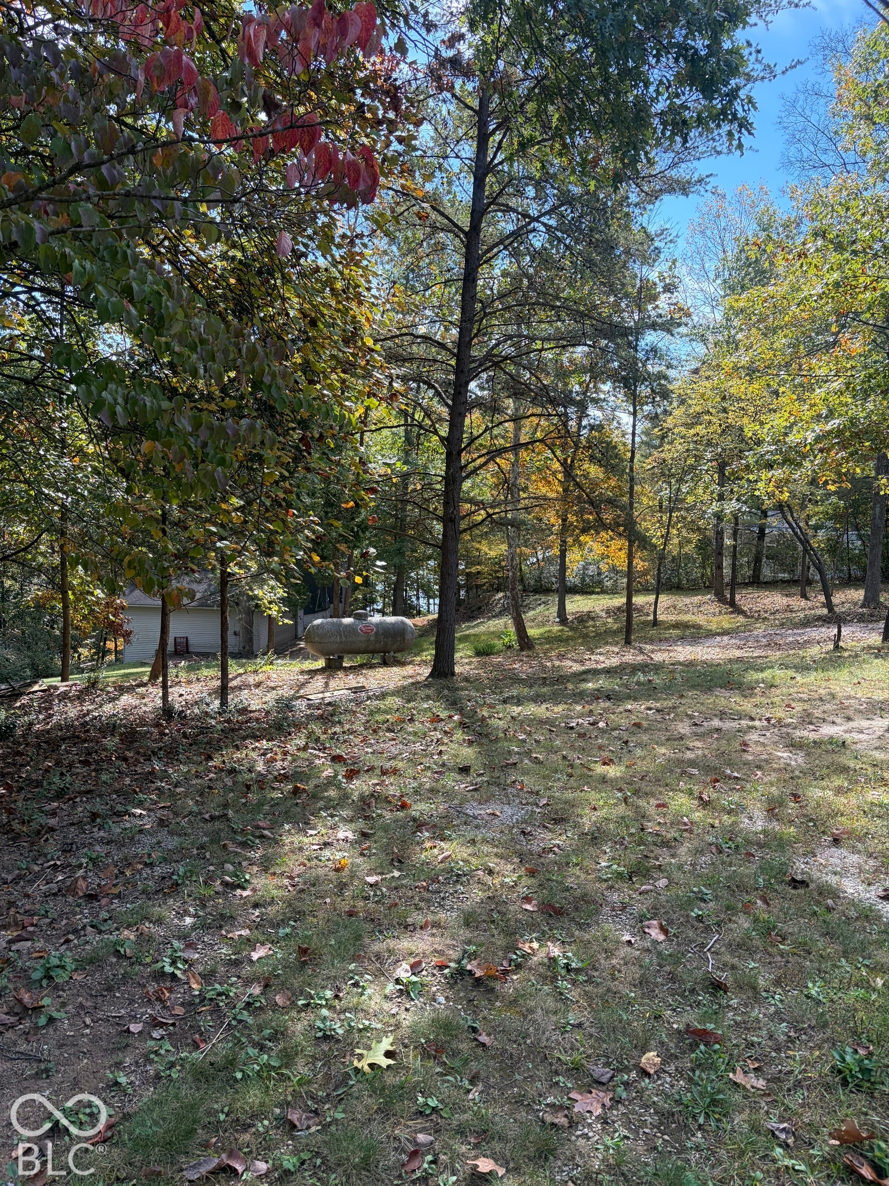 Wooded lot featuring mature trees and a metal propane storage tank