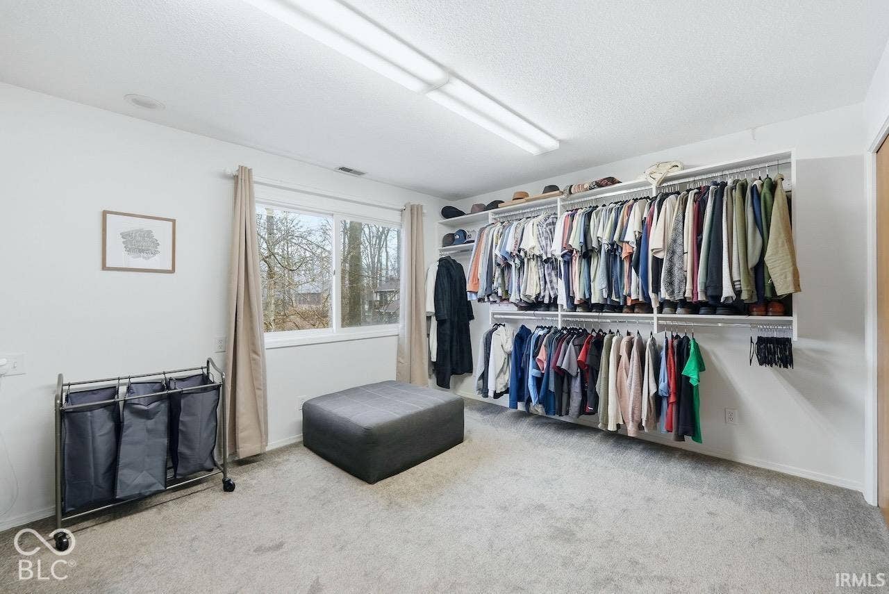 Walk-in closet featuring tiered wall-mounted shelving, neutral wall-to-wall carpeting, and a large window