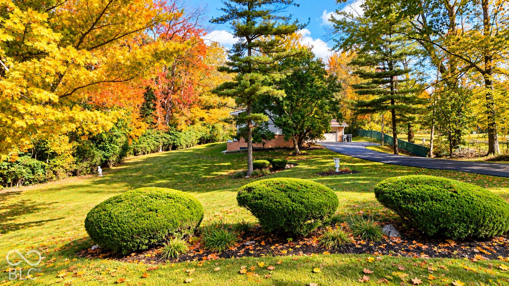 4225 Westbourne Drive, Indianapolis, IN 46205 Expansive lawn featuring mature trees, manicured shrubs, and a paved asphalt driveway