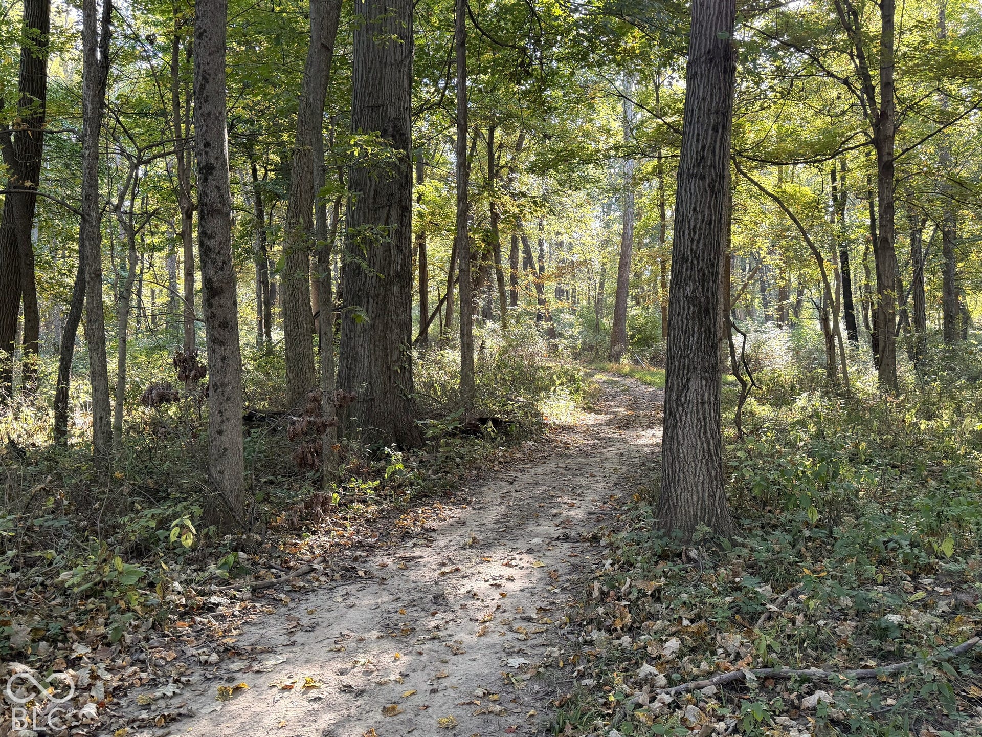 4622 W Fall Creek Road, Crawfordsville, IN 47933