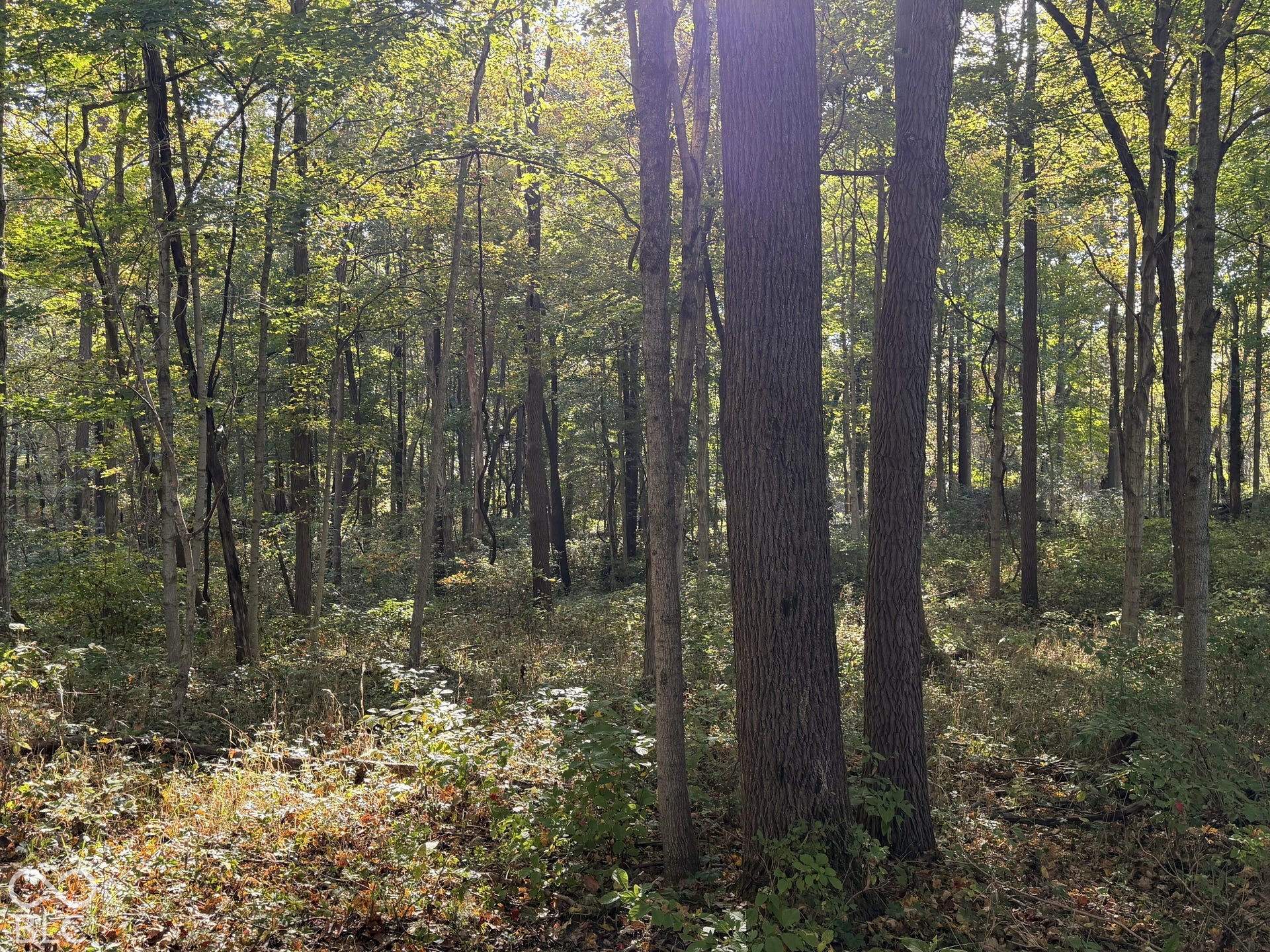 4622 W Fall Creek Road, Crawfordsville, IN 47933