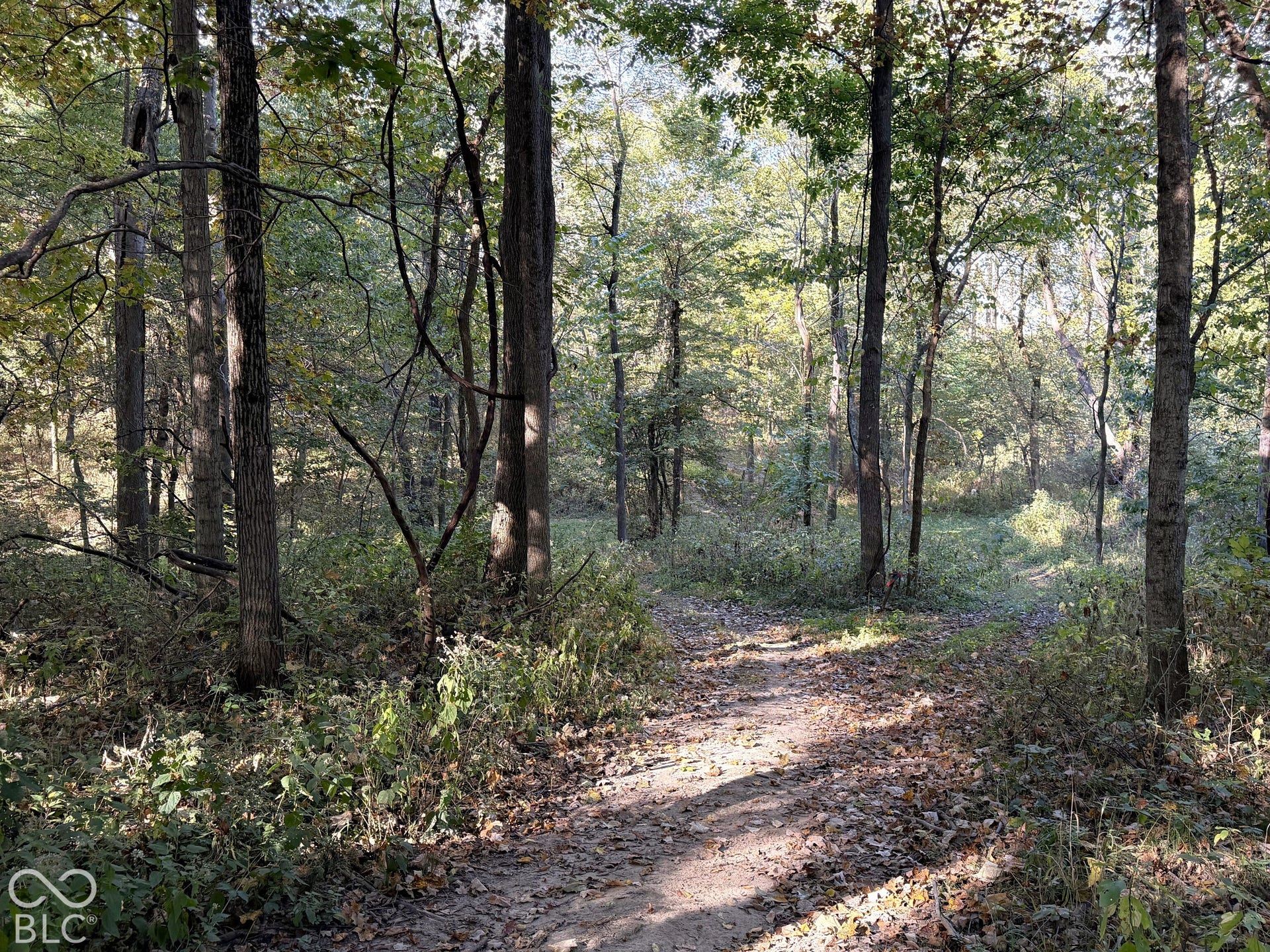 4622 W Fall Creek Road, Crawfordsville, IN 47933