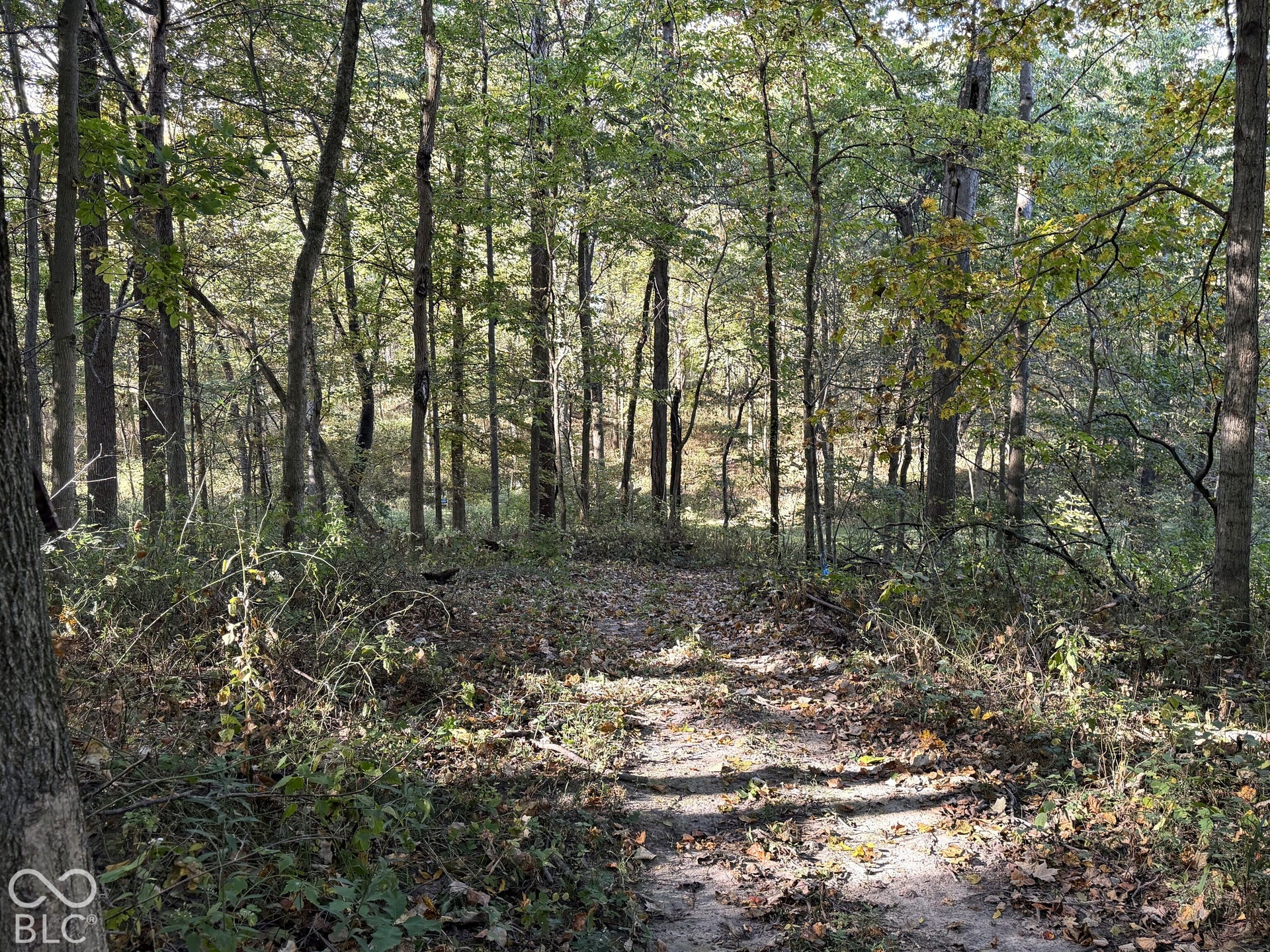 4622 W Fall Creek Road, Crawfordsville, IN 47933