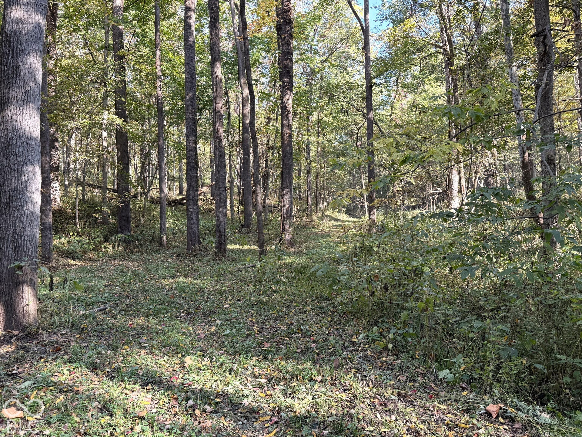 4622 W Fall Creek Road, Crawfordsville, IN 47933