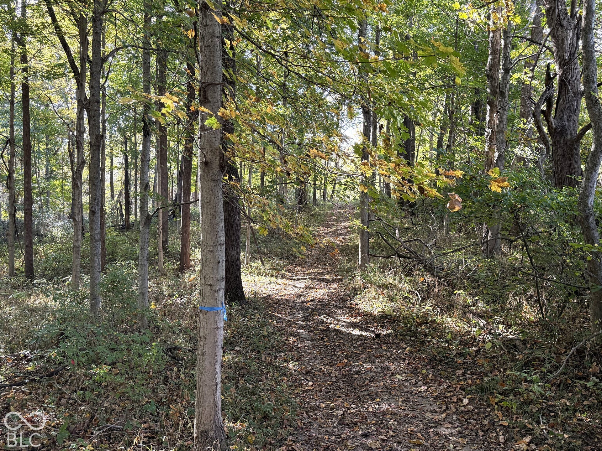 4622 W Fall Creek Road, Crawfordsville, IN 47933