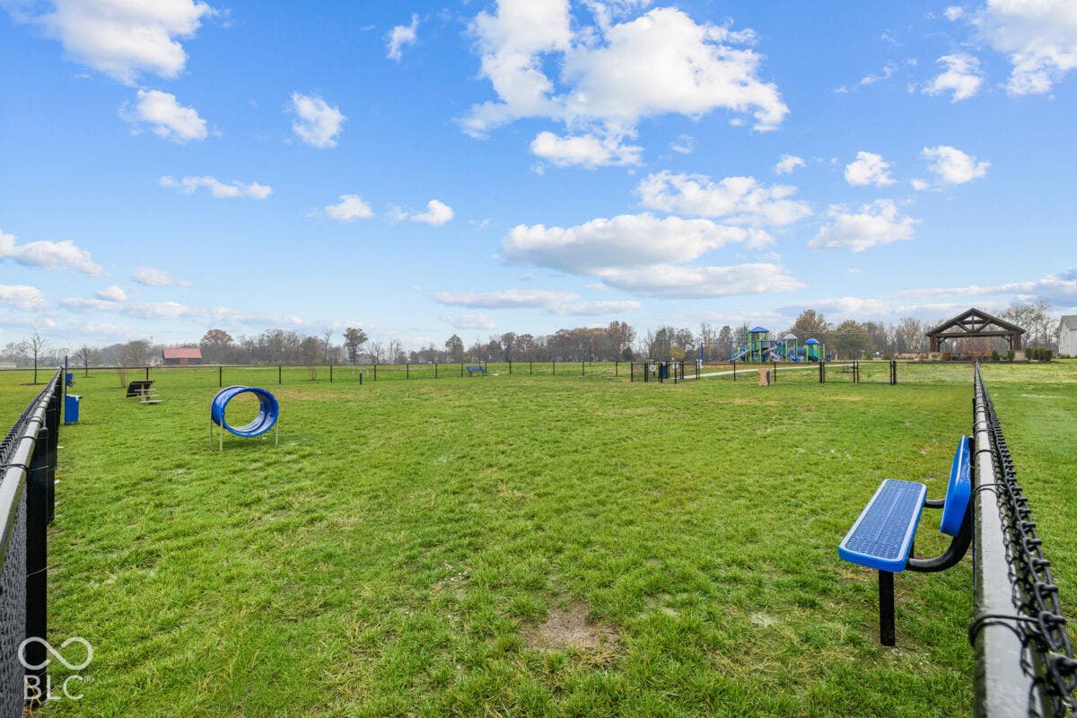 Dog Park