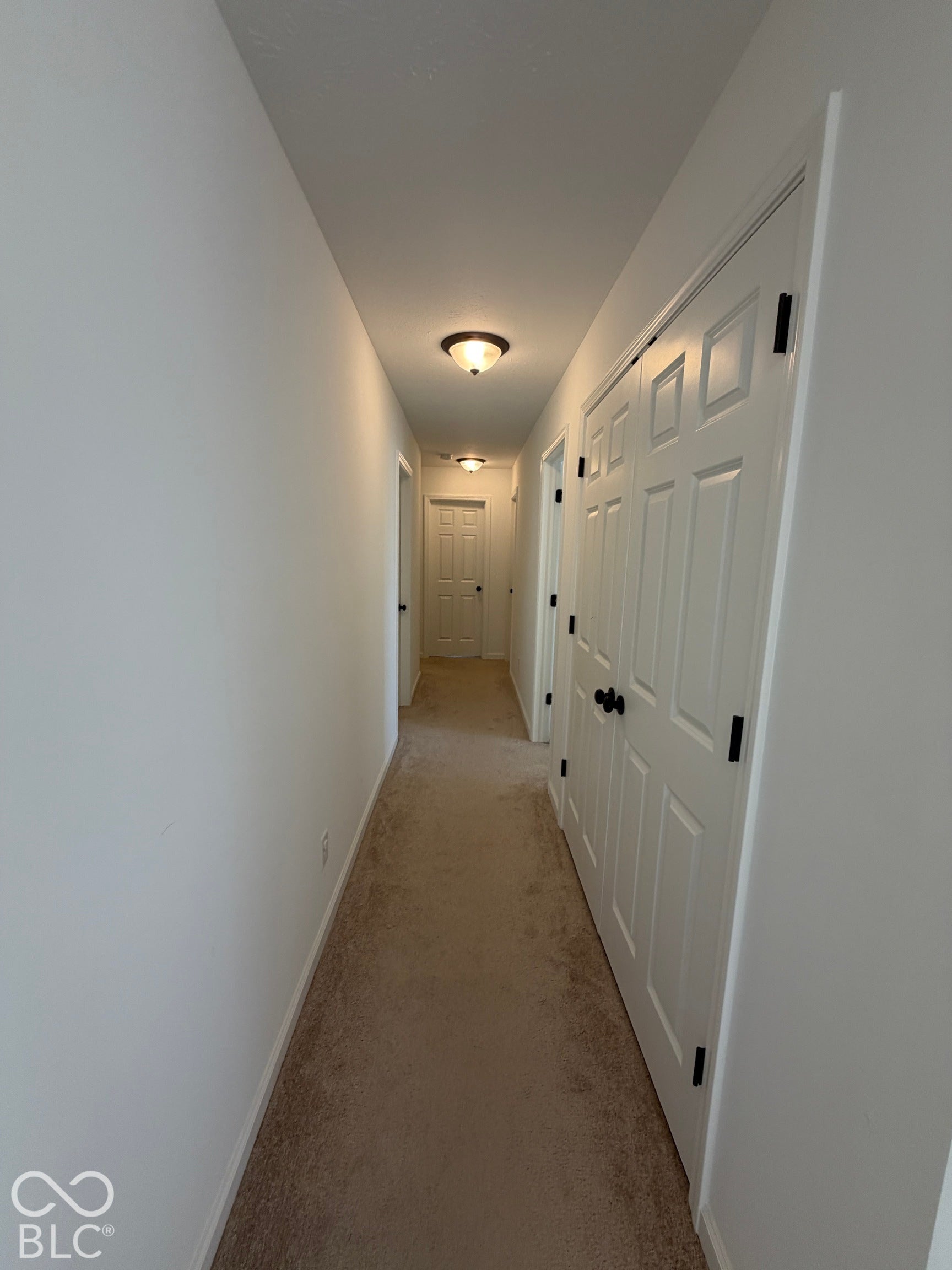 Hallway featuring neutral carpeting, six-panel interior doors, and matte black hardware