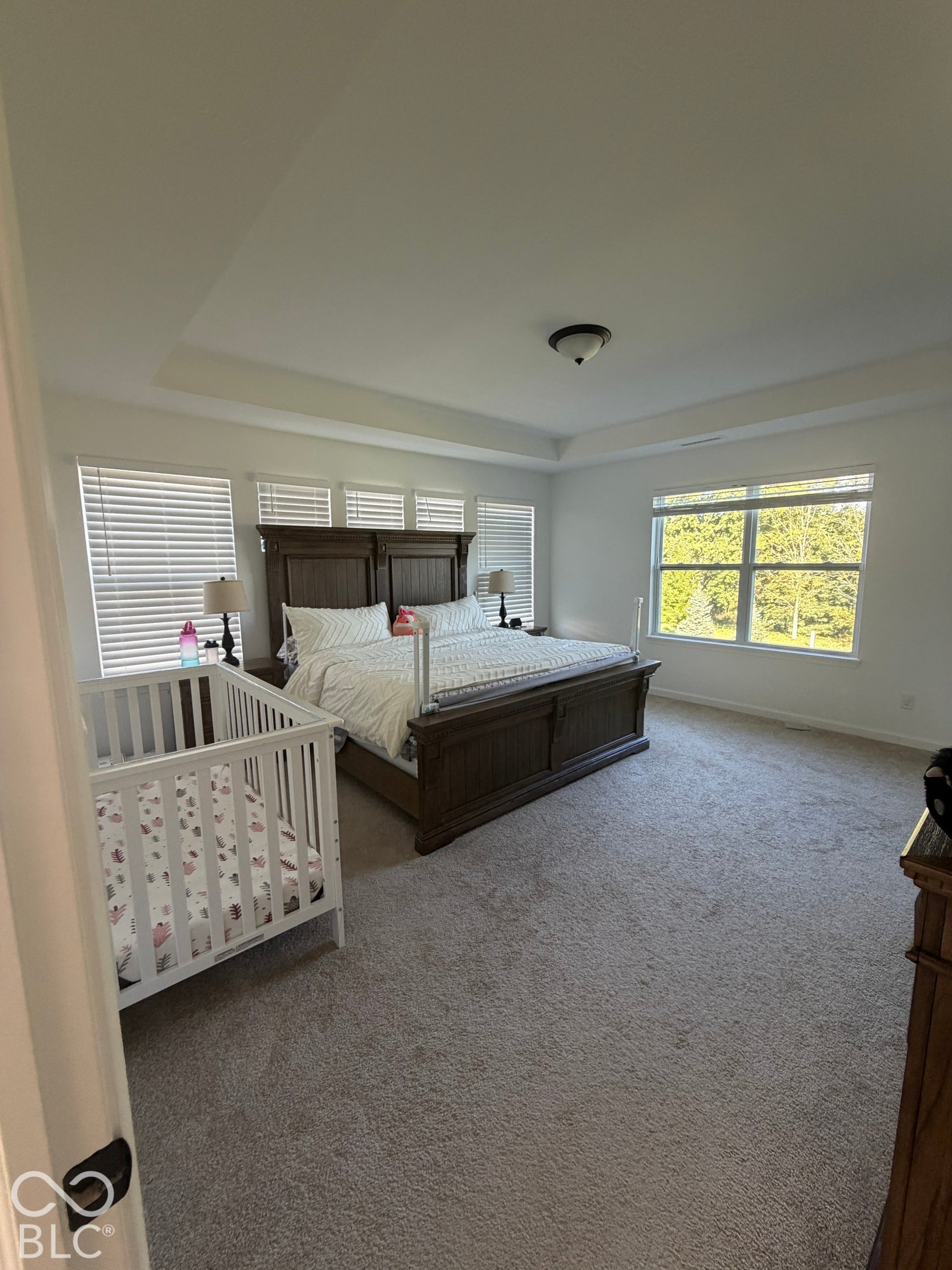 Tray ceiling, wall-to-wall carpeting, and large windows with horizontal blinds