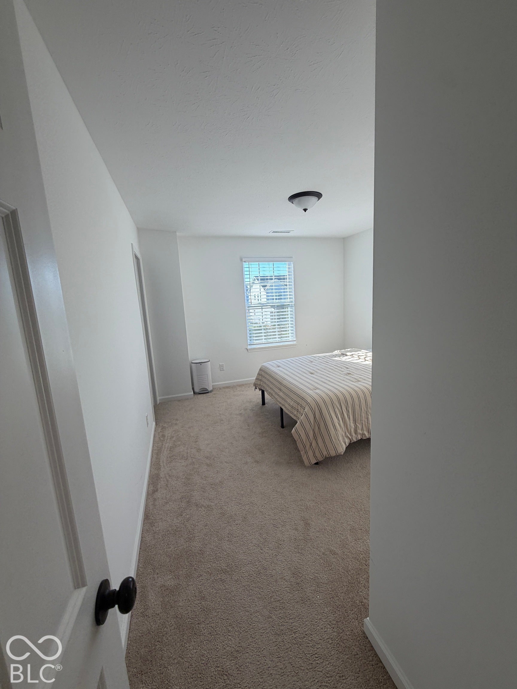 Neutral-toned wall-to-wall carpeting, single-pane window with white horizontal blinds, and a flush-mount ceiling light fixture