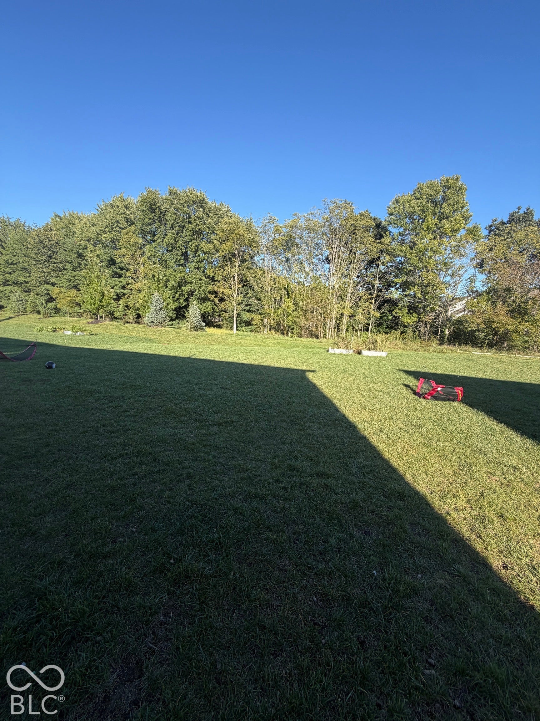 Expansive backyard featuring a large grass lawn and mature perimeter trees