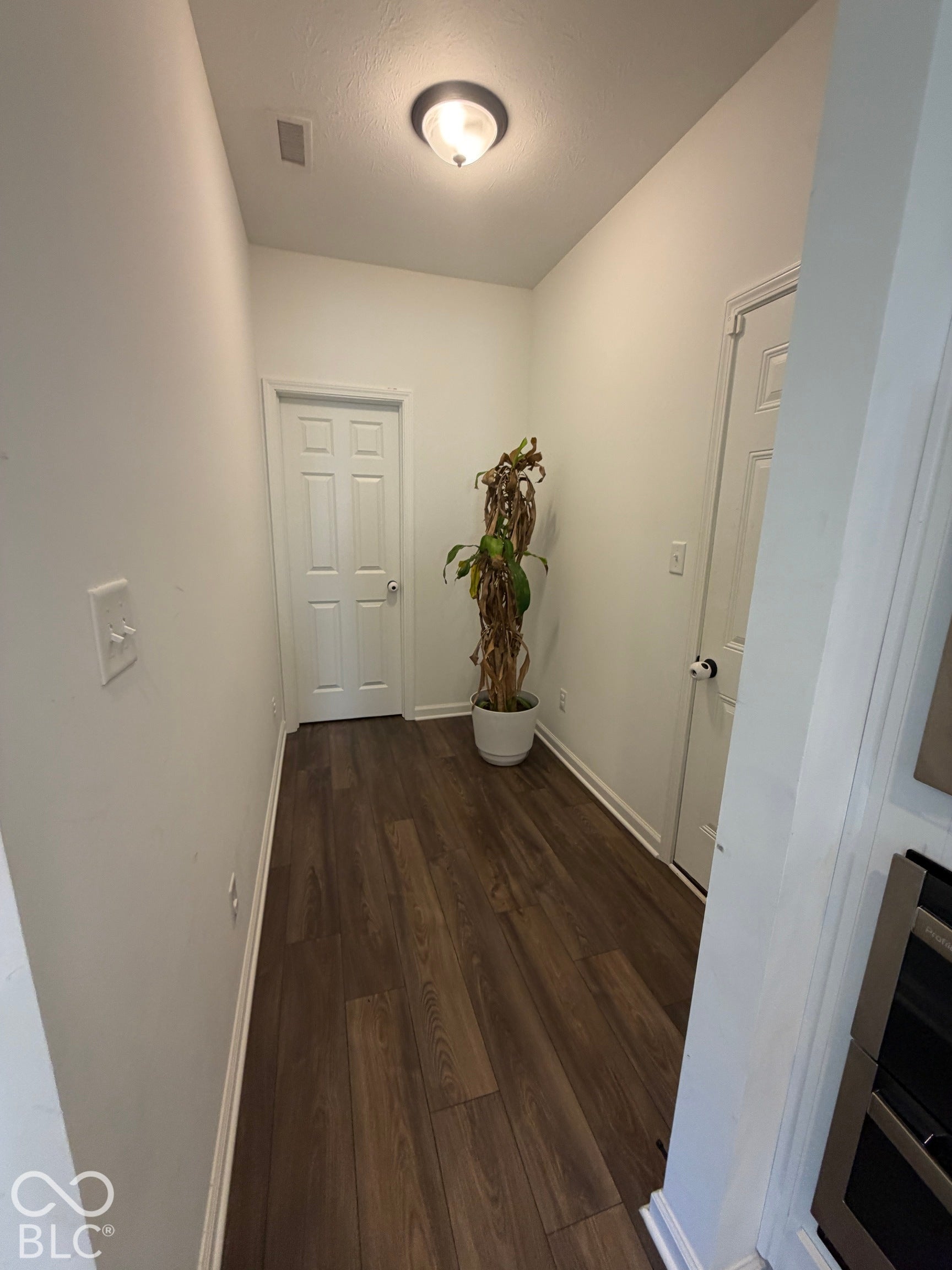 Wood-finish flooring, two six-panel interior doors, and a central flush-mount dome light fixture