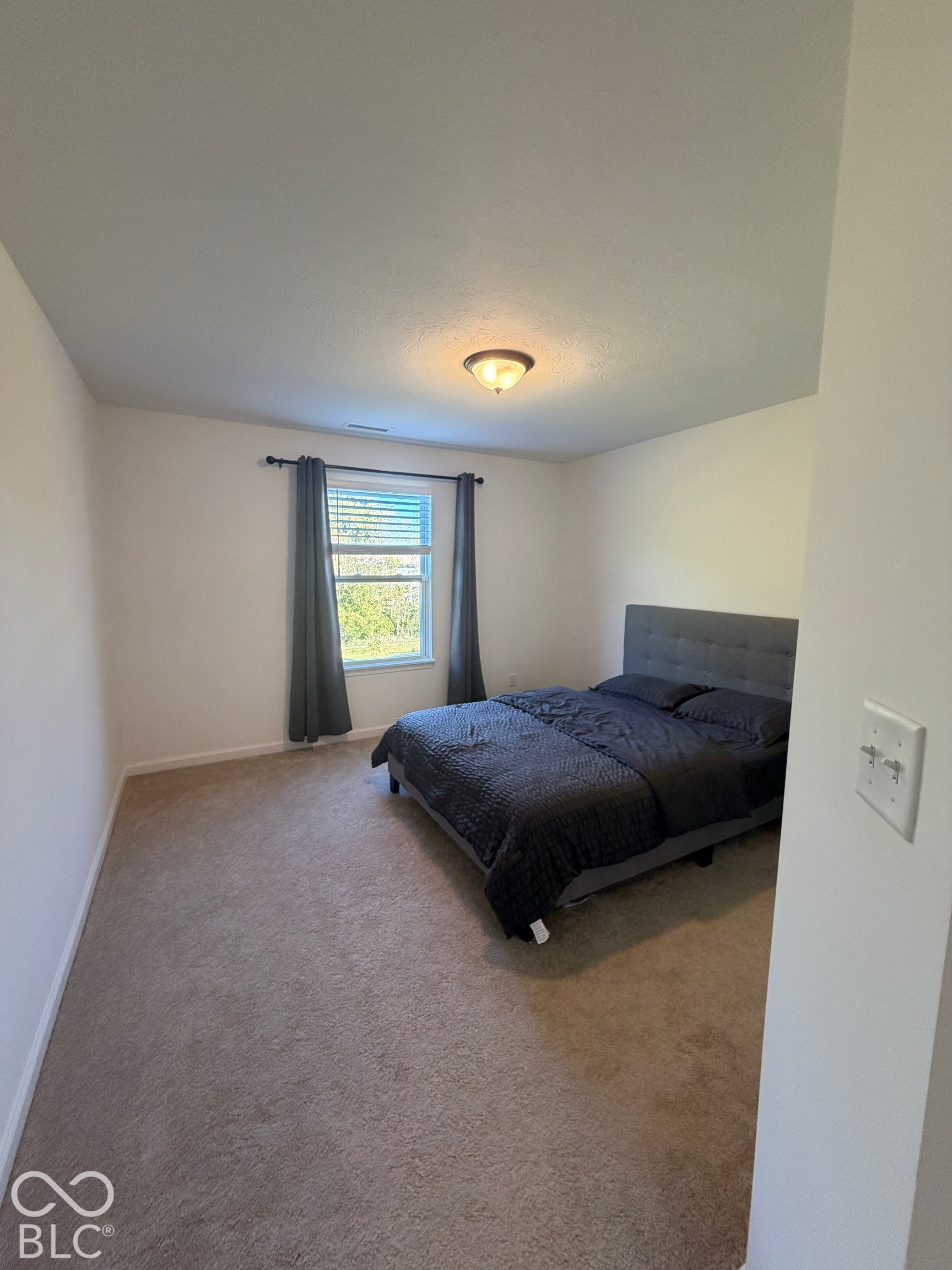 Room featuring neutral-toned carpeting, a single window, and a flush-mount overhead light fixture