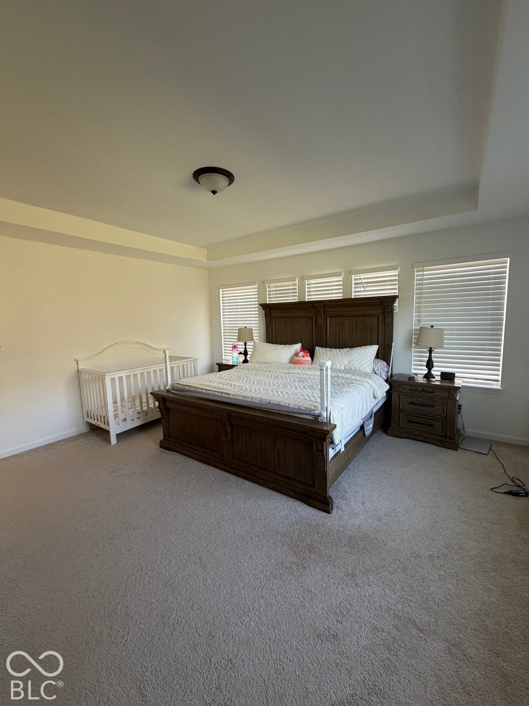 Spacious room featuring a tray ceiling, neutral wall-to-wall carpeting, and multiple windows with horizontal blinds