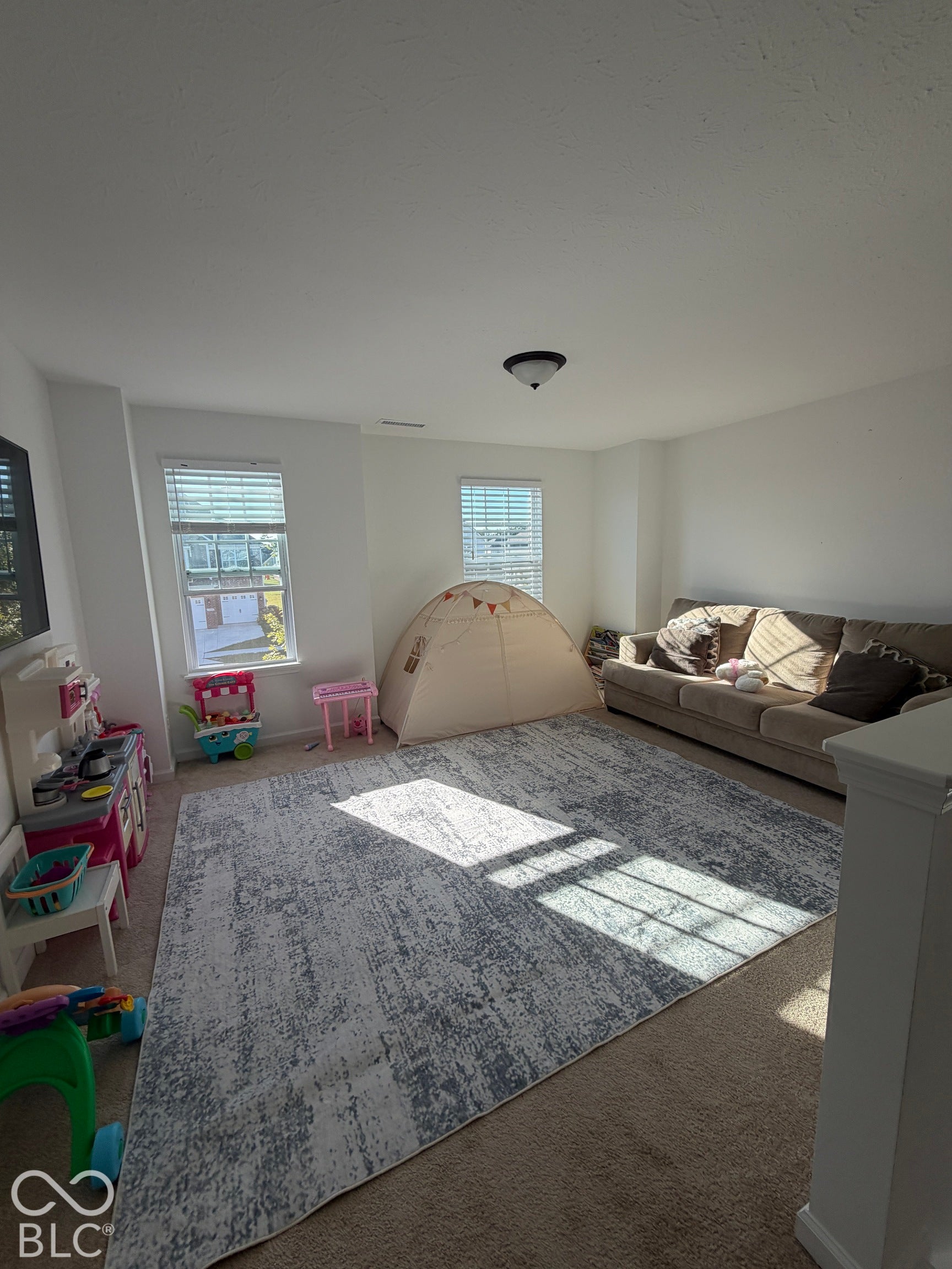 Neutral wall tones, carpeting, and dual windows providing natural light, finished with a flush-mount ceiling light fixture