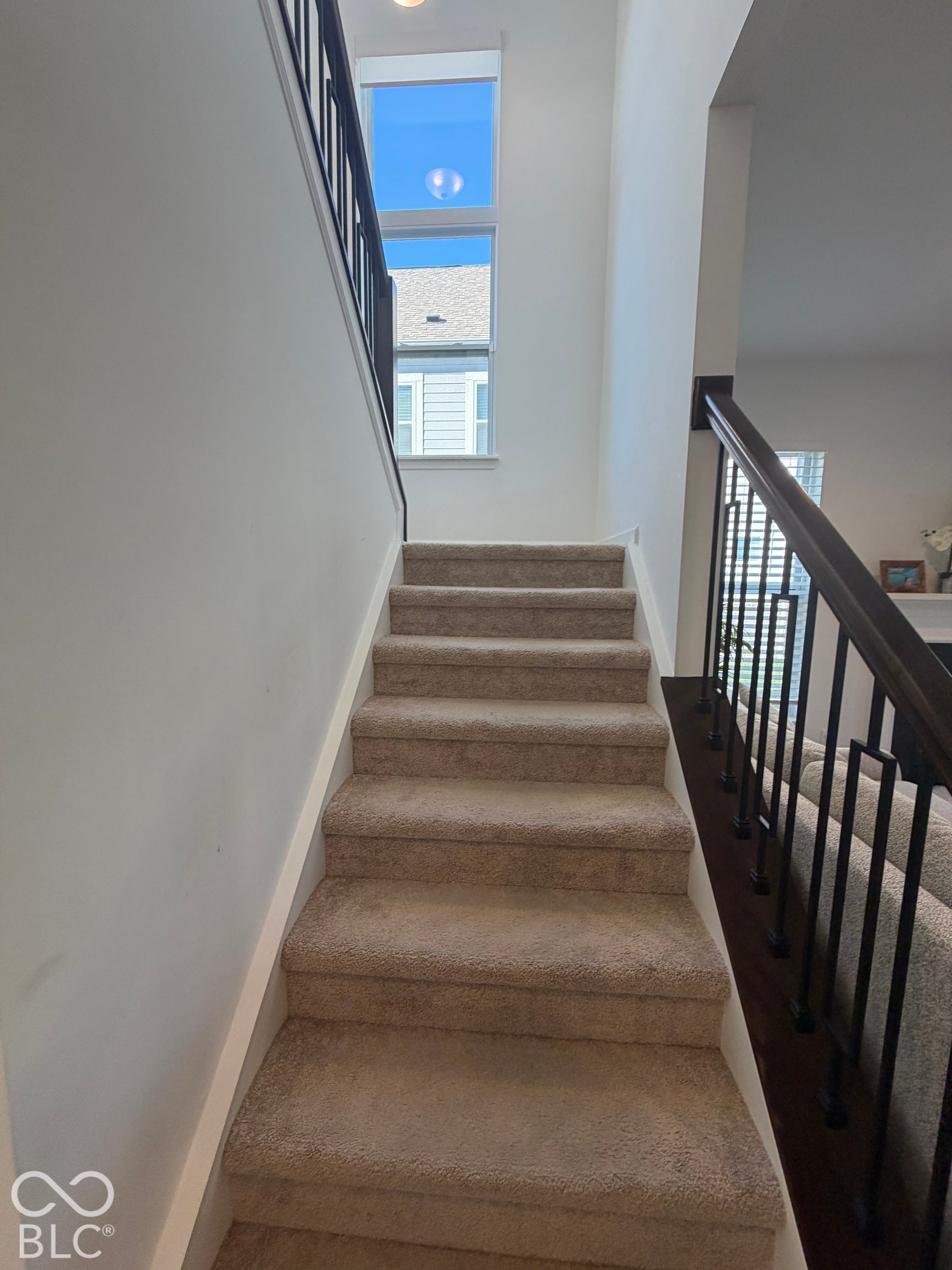 Carpeted staircase featuring a dark wood handrail and vertical iron balusters, complemented by a tall window and high ceilings