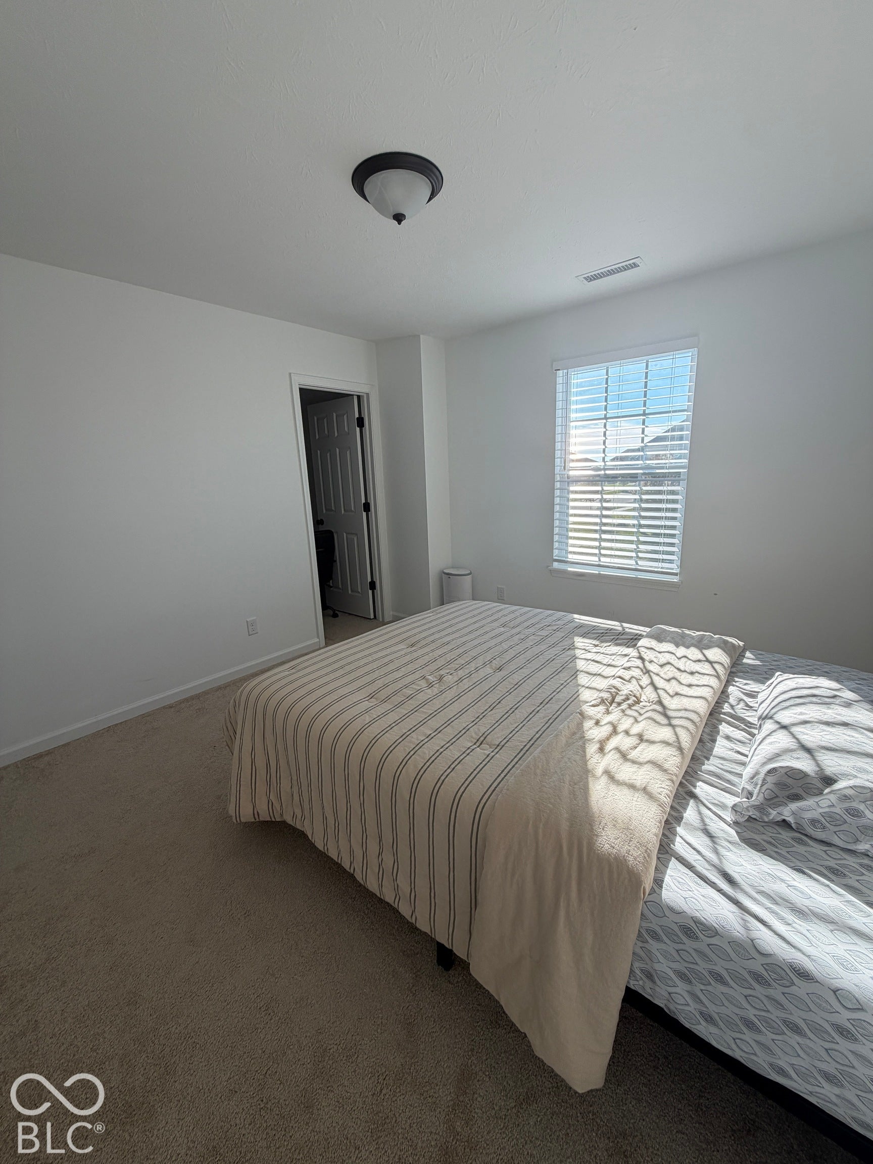 Neutral-toned carpeting, window with slatted blinds, flush-mount ceiling light fixture, and interior door with paneled detail