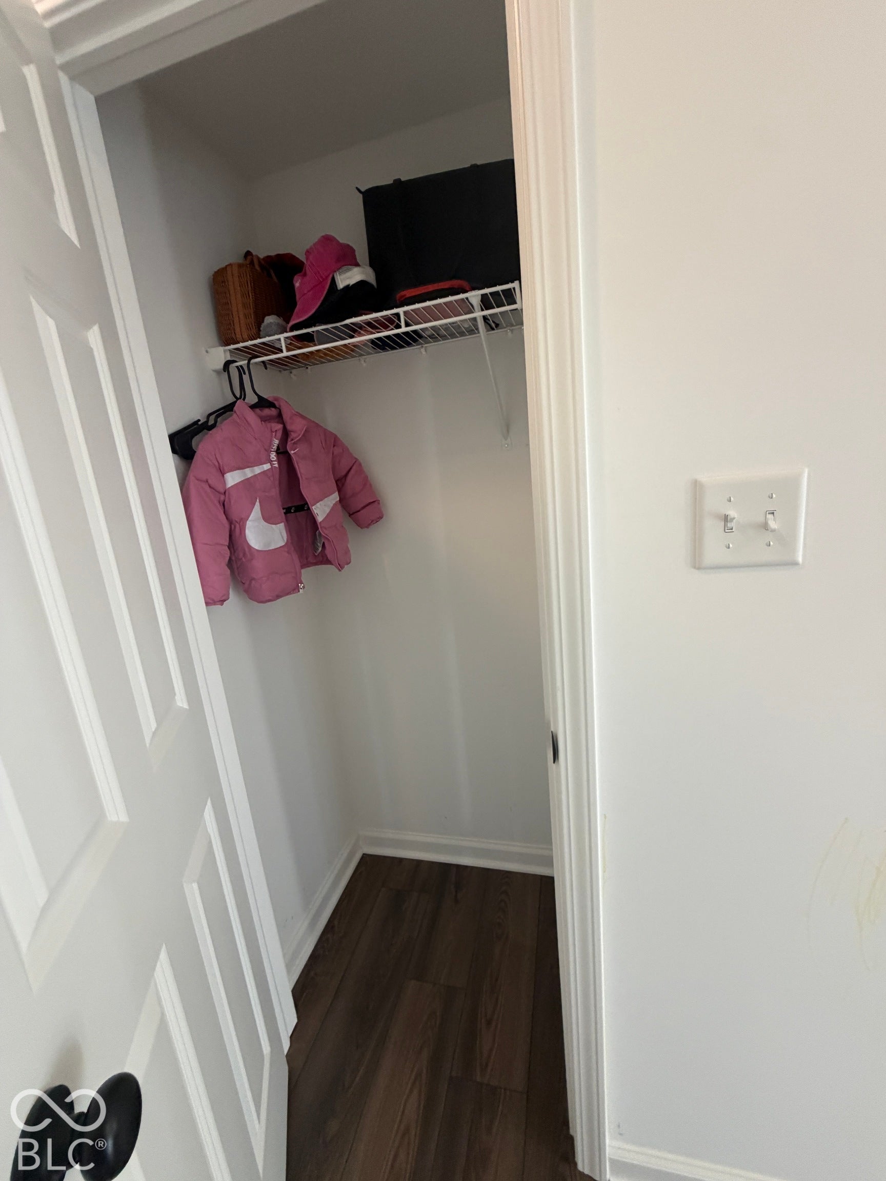 Reach-in closet featuring wood-finish flooring, a white six-panel interior door, and a wire shelving system