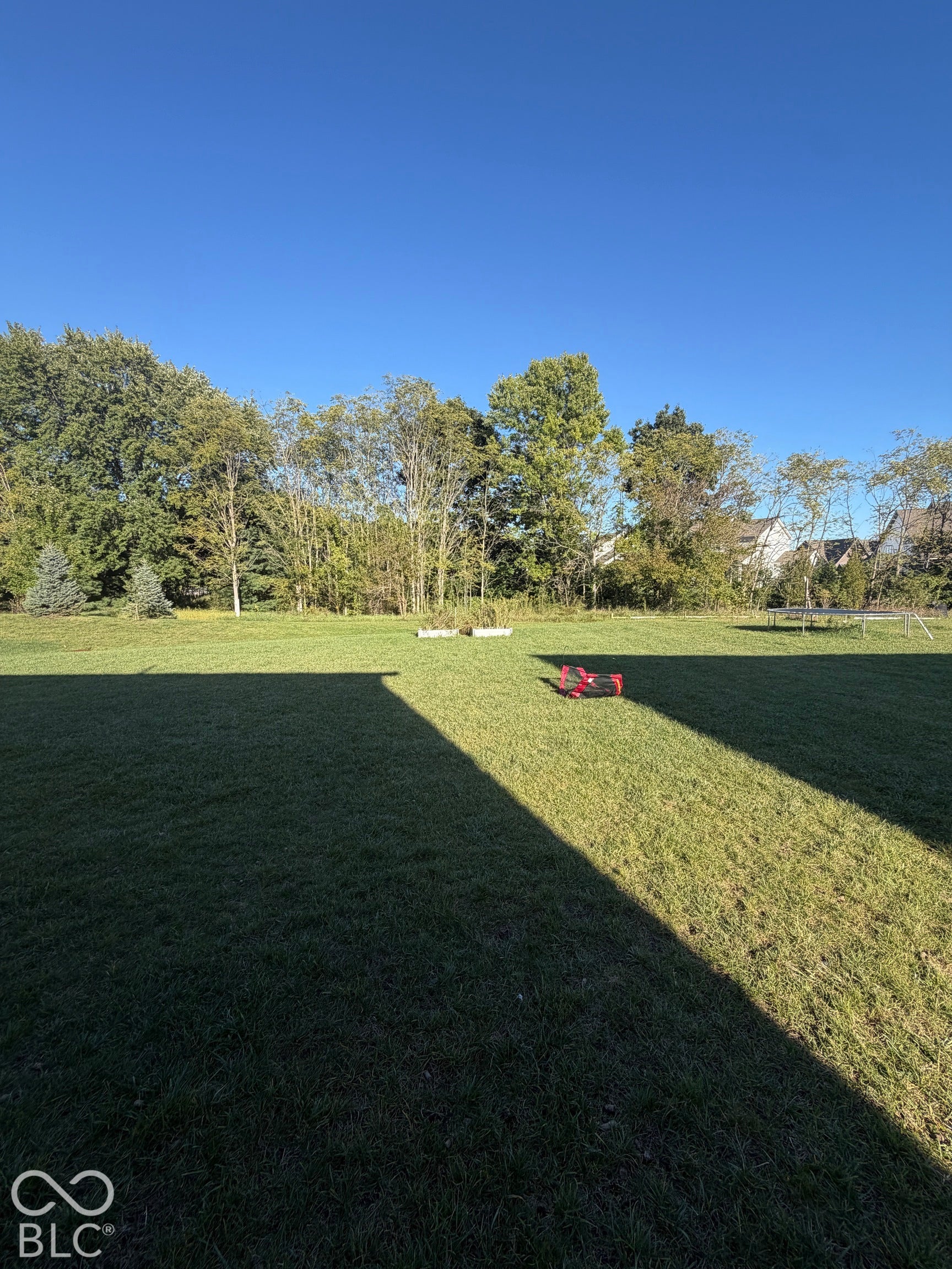 Expansive backyard featuring a grass lawn and mature perimeter trees