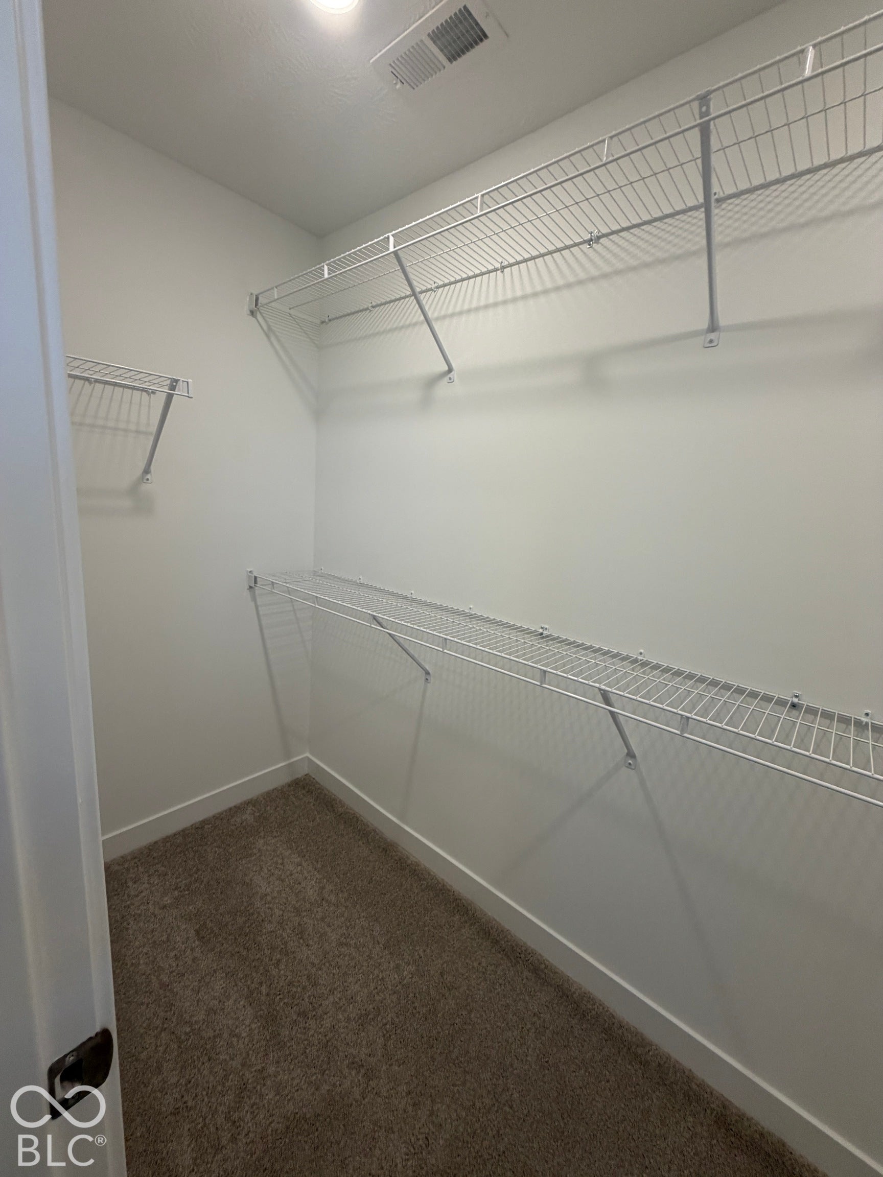 Walk-in closet featuring wall-to-wall carpeting and tiered white wire shelving