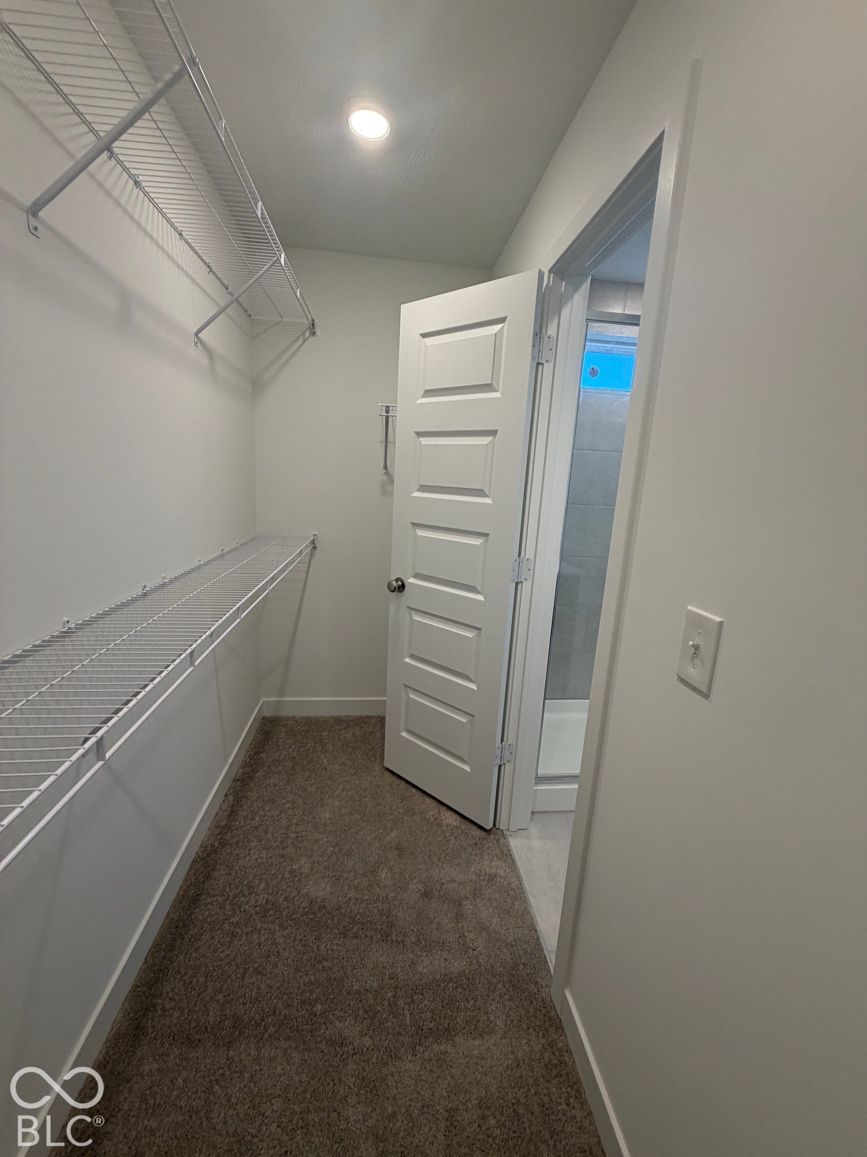 Walk-in closet featuring carpeted flooring, white wire shelving, and a five-panel interior door