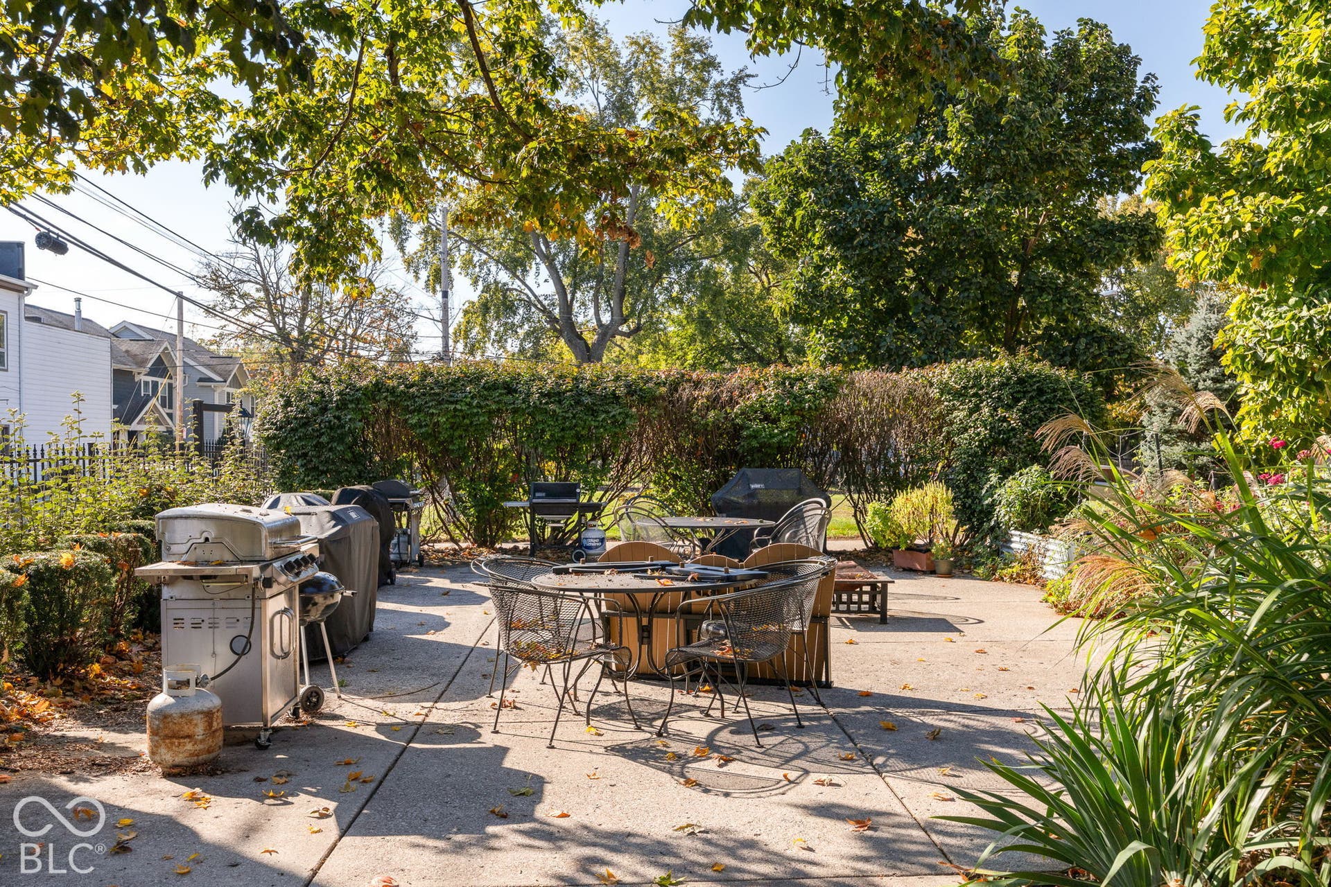 Concrete patio featuring surrounding mature trees and manicured privacy hedge