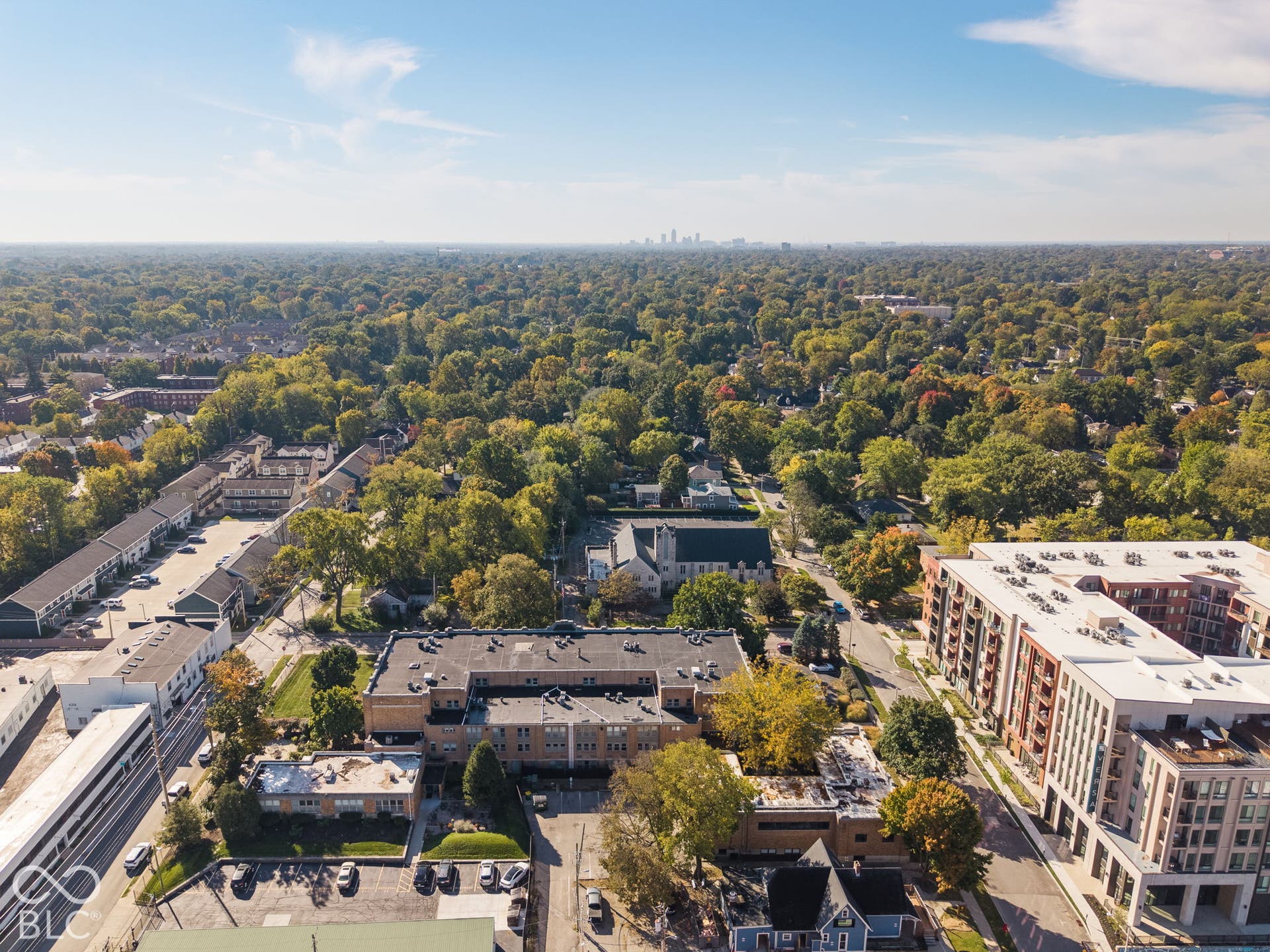 Aerial perspective of an urban setting with dense mature tree canopy and distant skyline visibility
