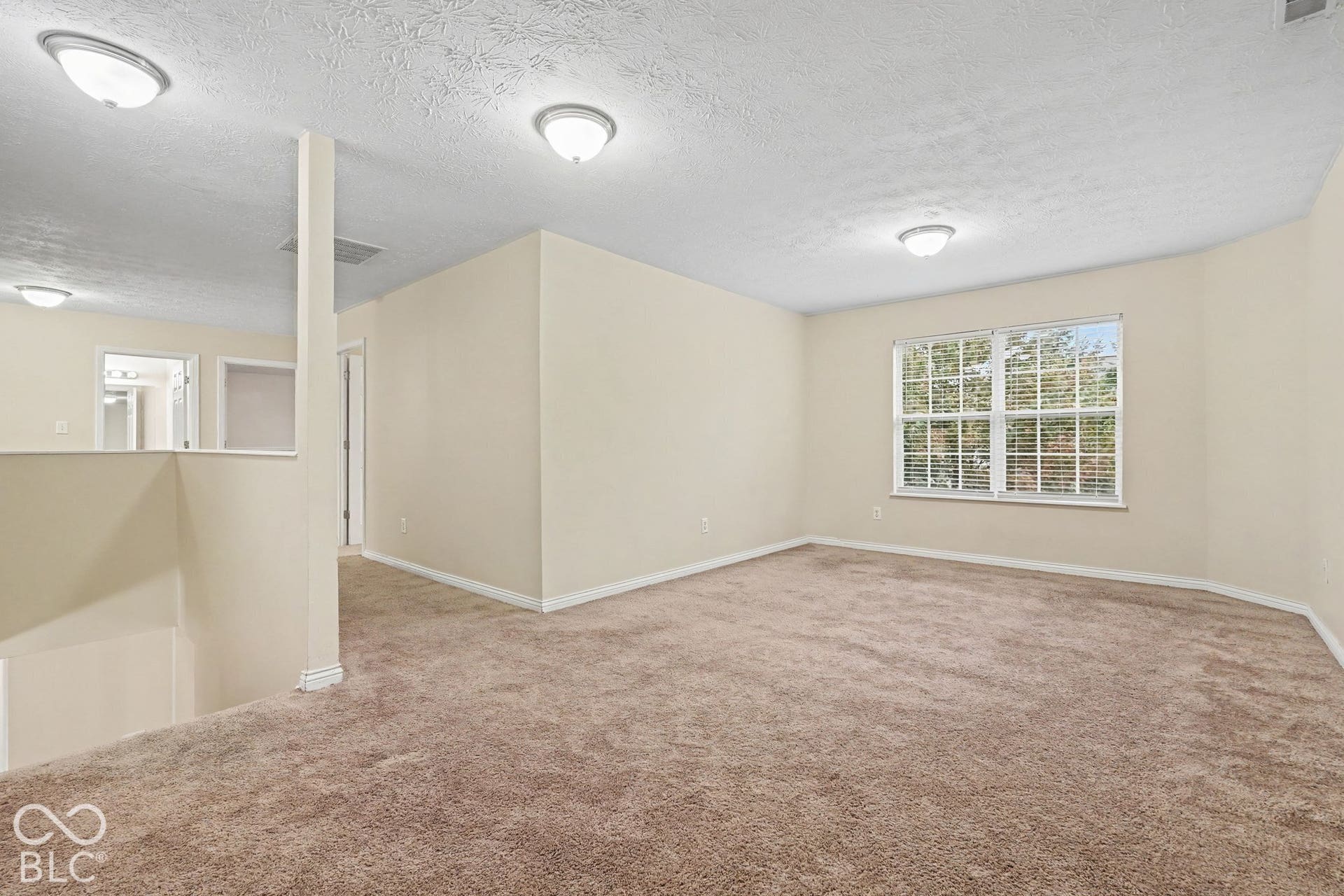Open interior space featuring neutral wall tones, wall-to-wall carpeting, multiple flush-mount ceiling light fixtures, and a large window with muntin detailing